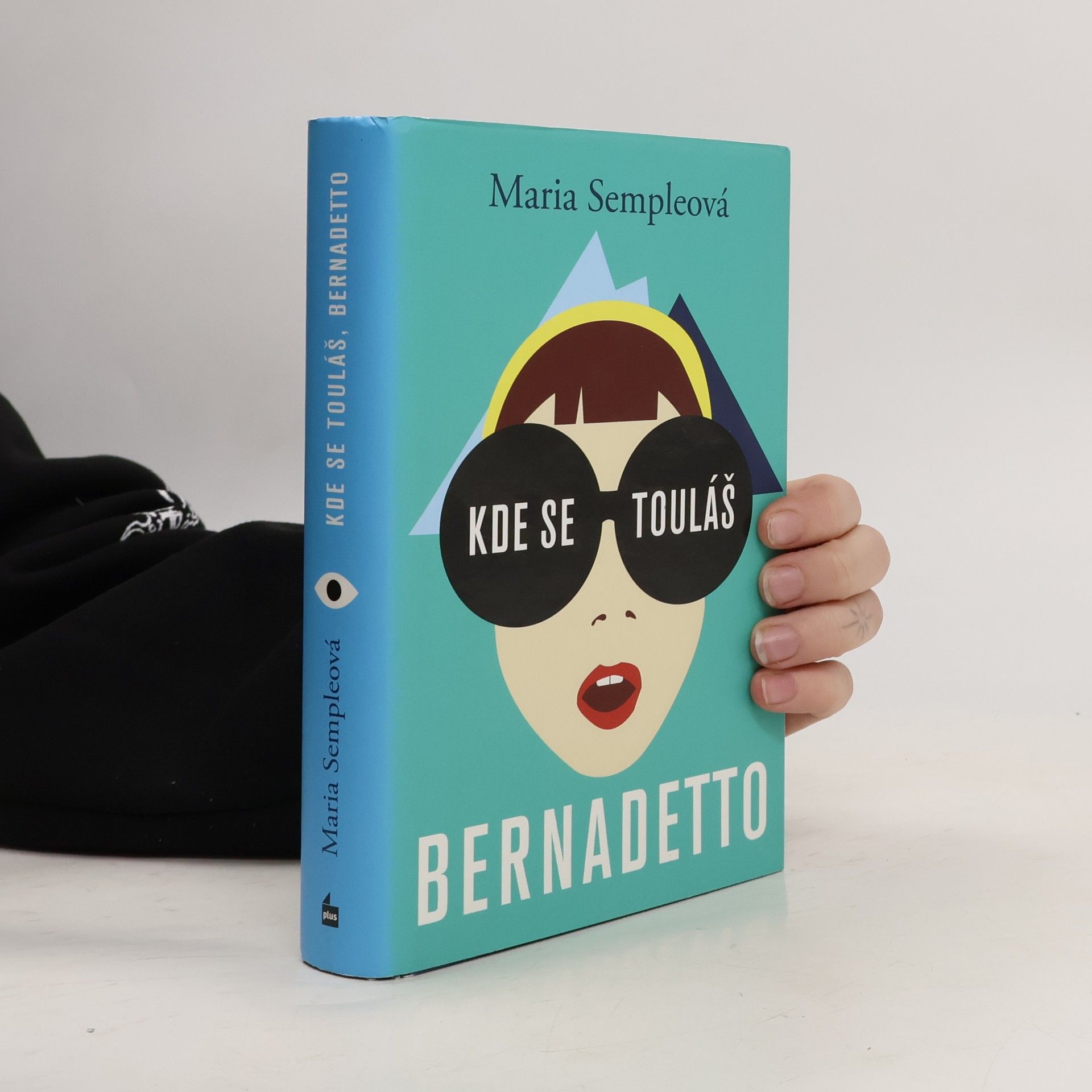 Maria Semple Kde se touláš, Bernadetto