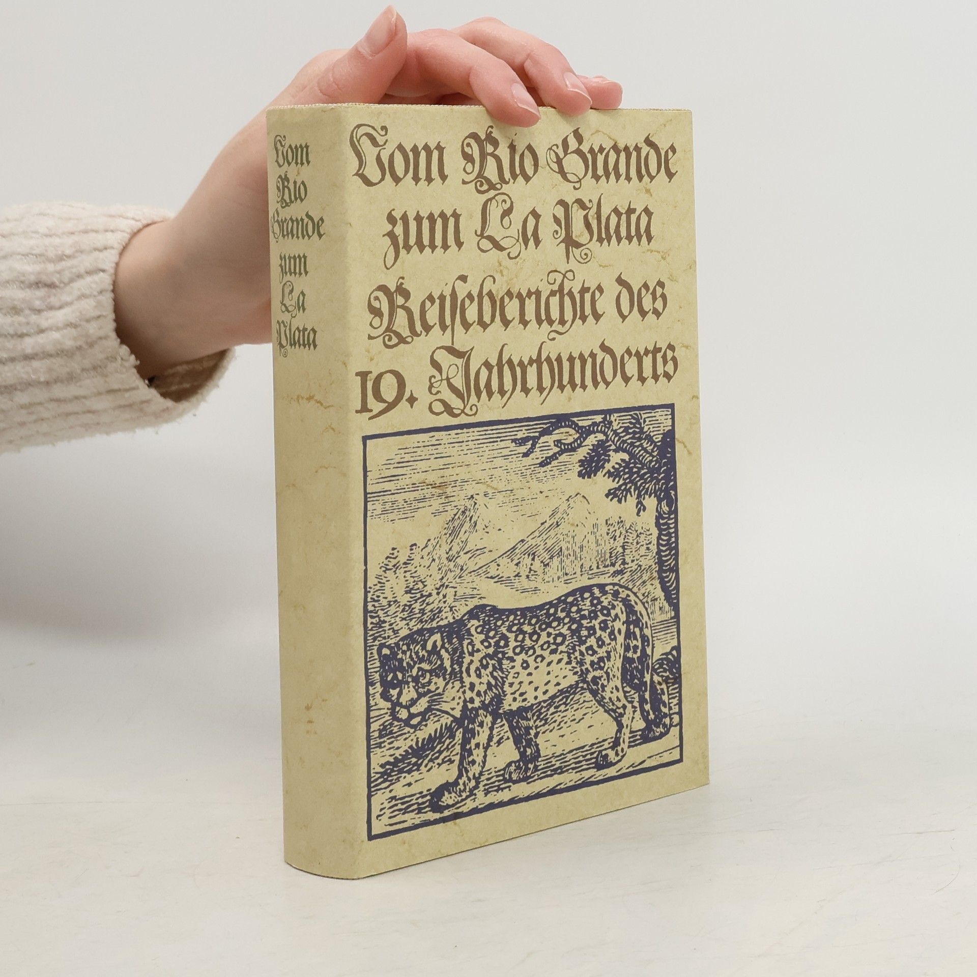 Hans Joachim Wulschner Vom Rio Grande zum La Plata