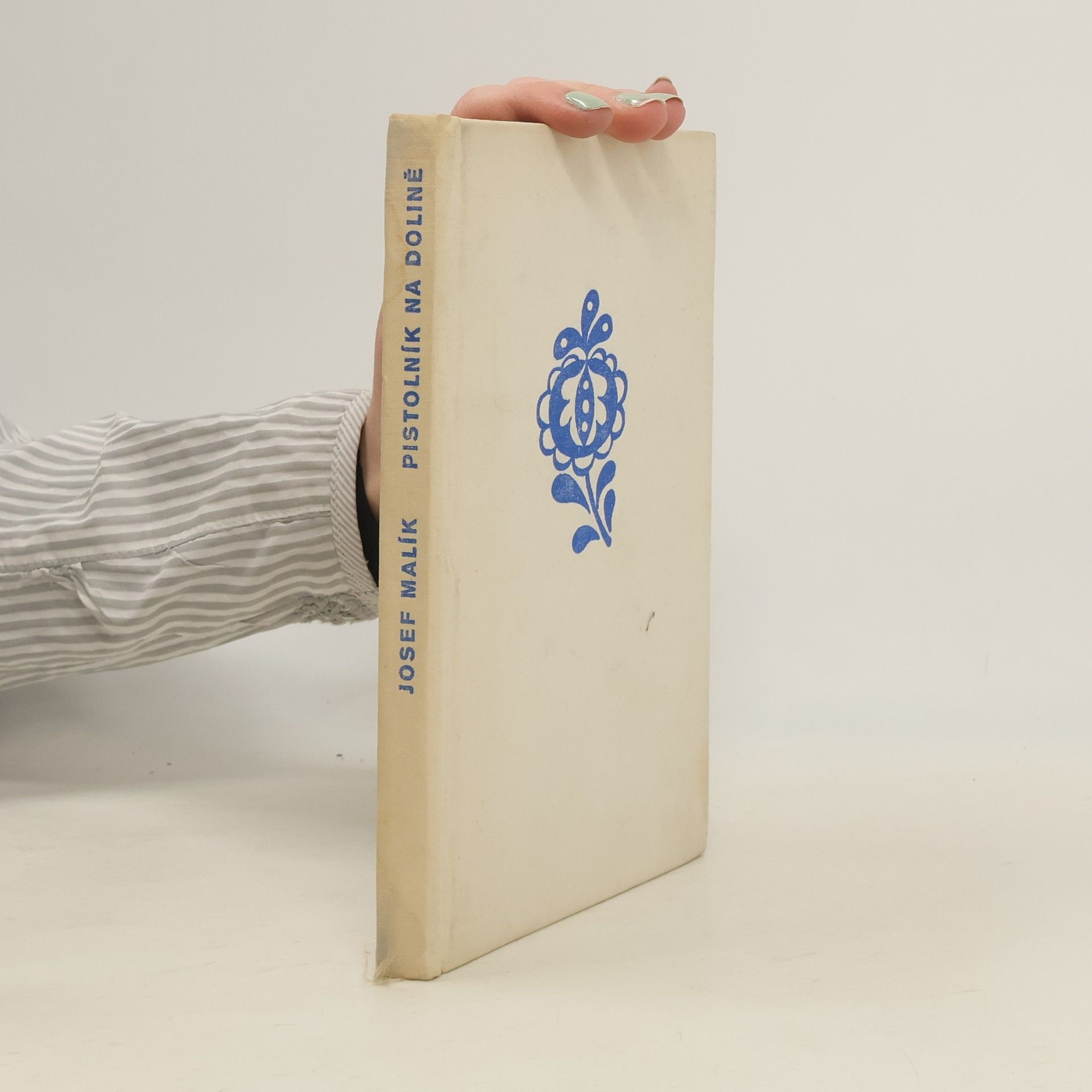 Pistolník na dolině