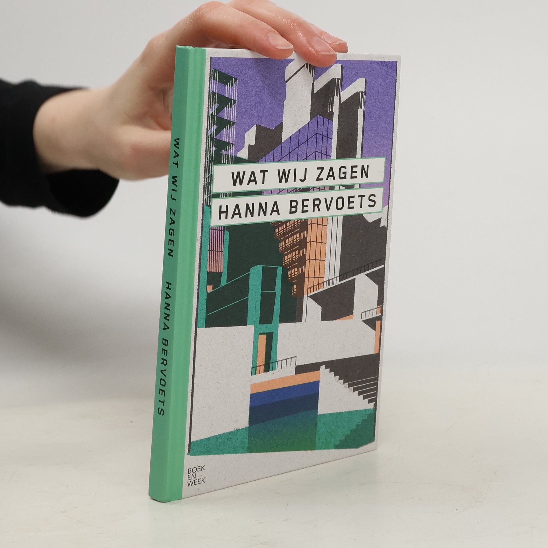 Hanna Bervoets Wat wij zagen