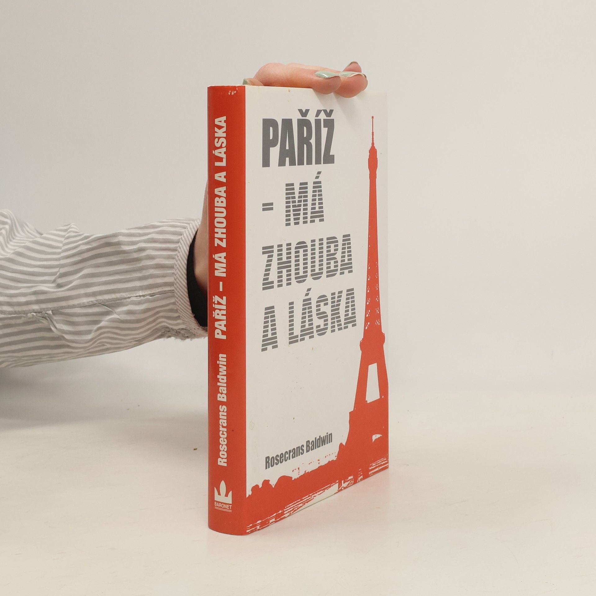 Rosecrans Baldwin Paříž, má zhouba a láska