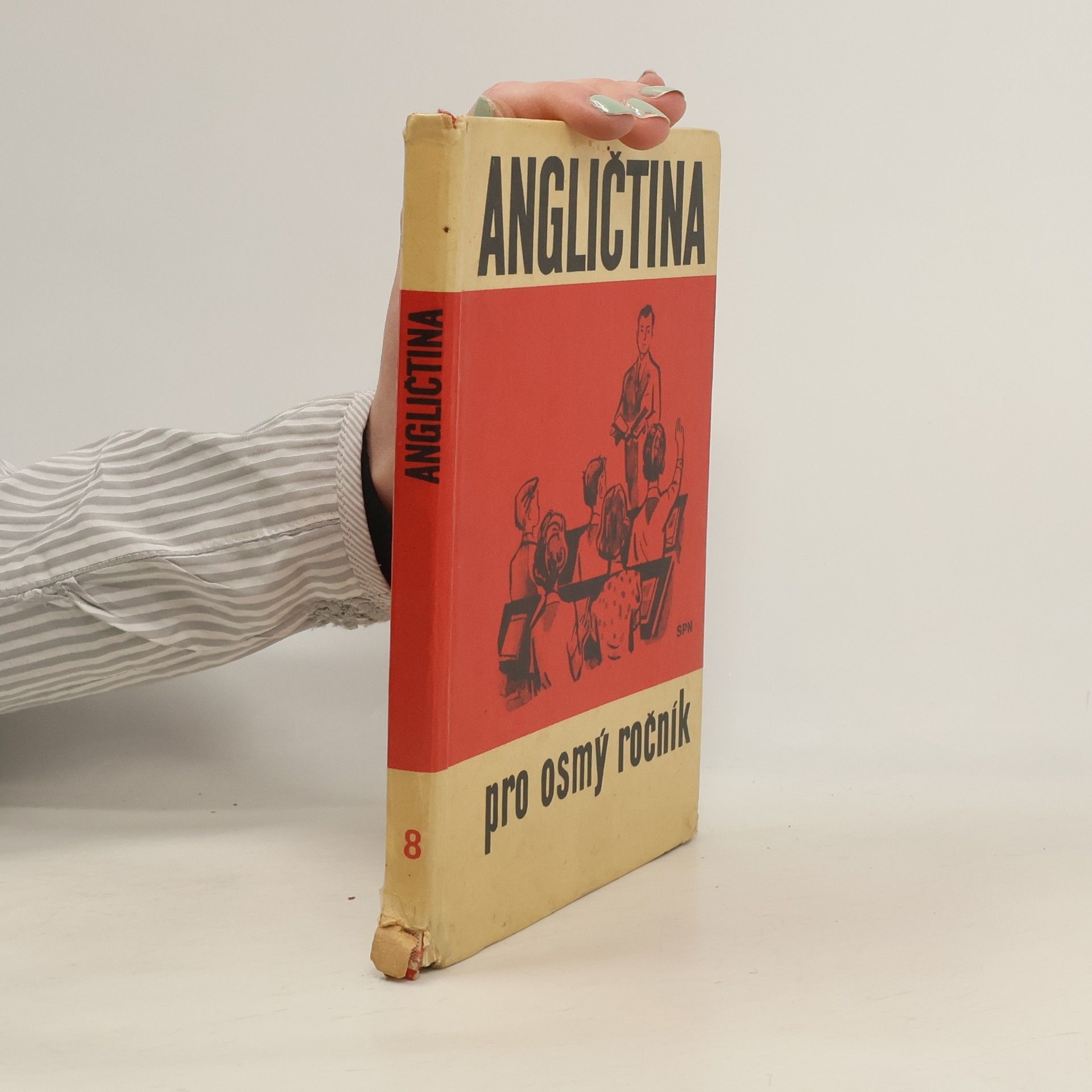 Julie Kubíčková Angličtina pro osmý ročník