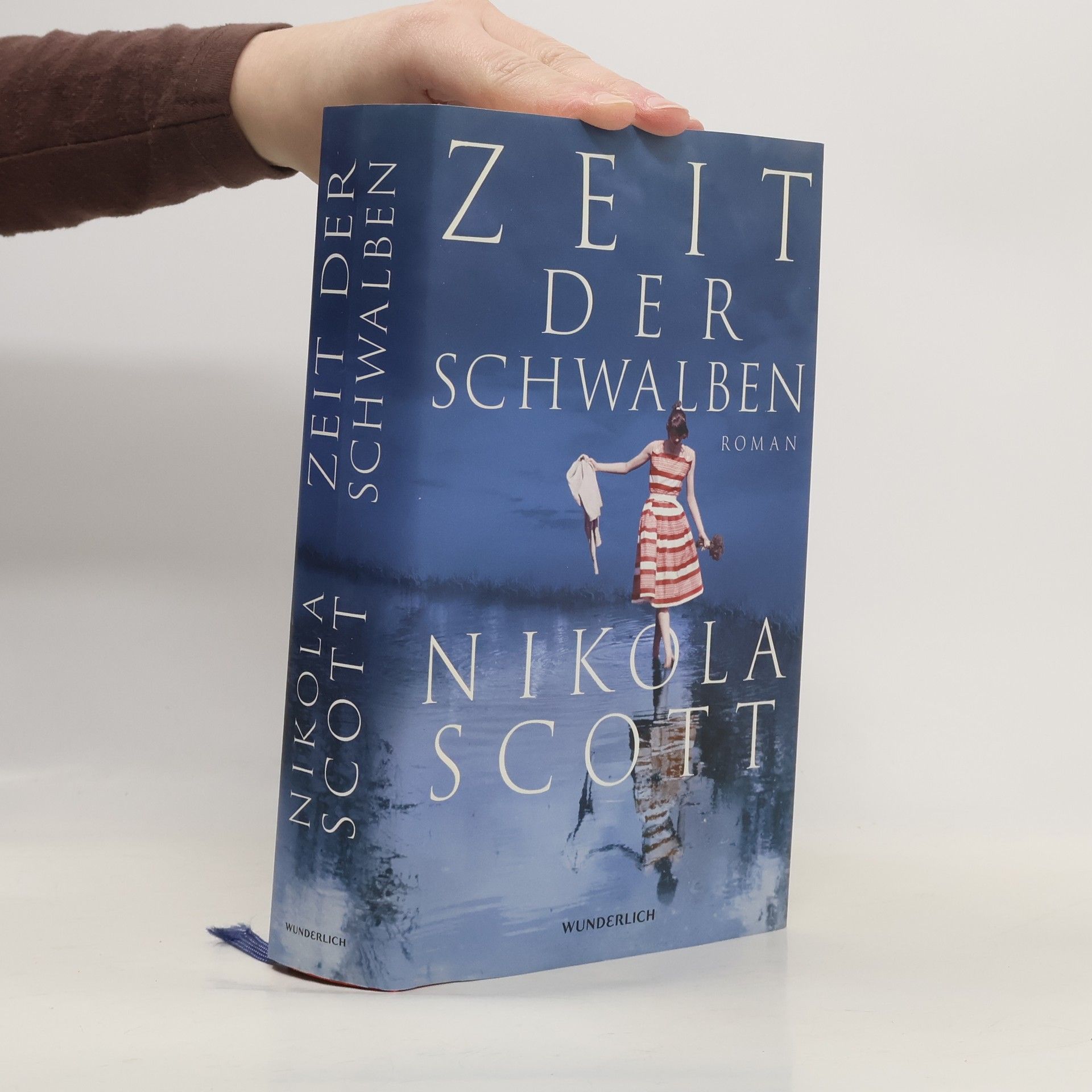 Nikola Scott Zeit der Schwalben