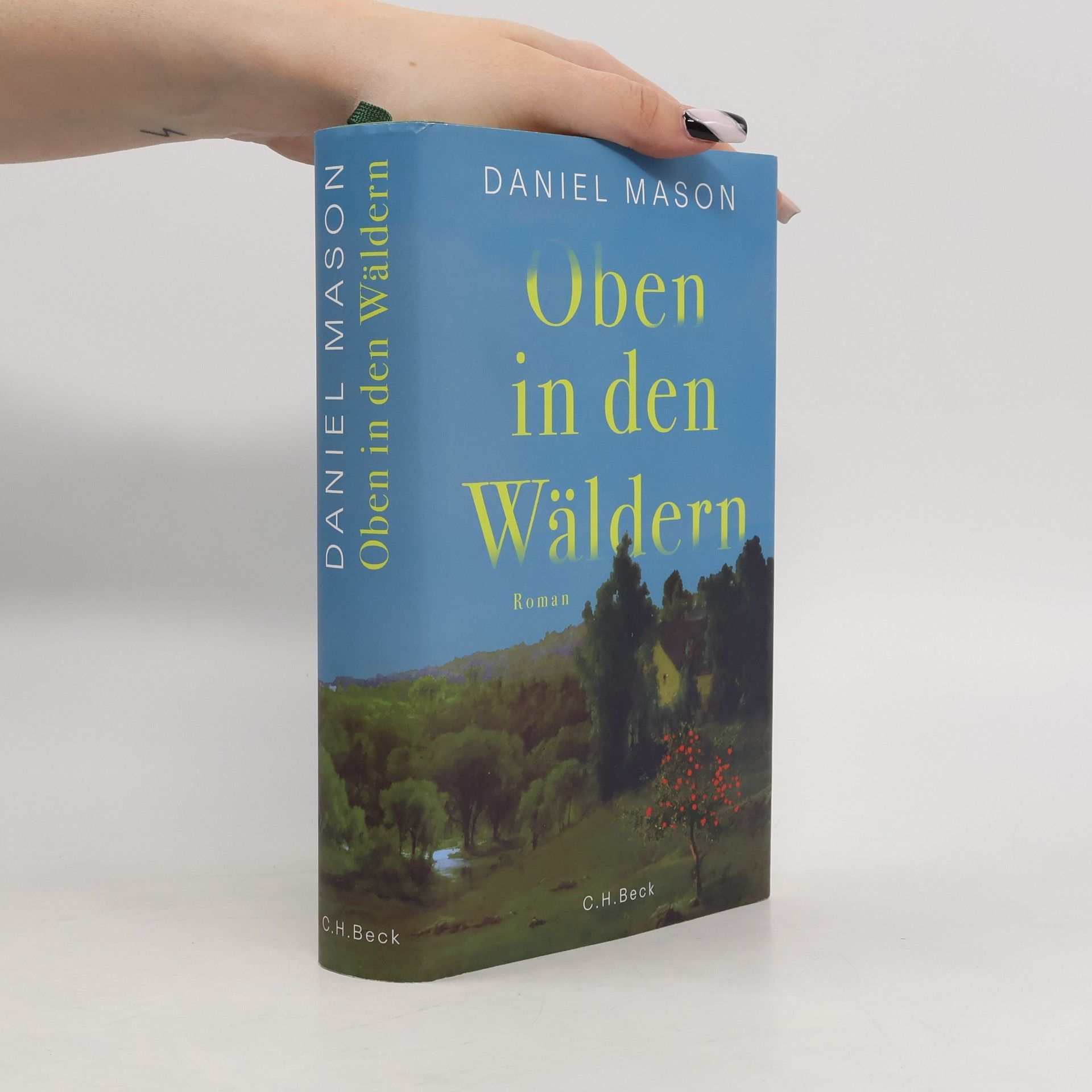 Daniel Mason Oben in den Wäldern