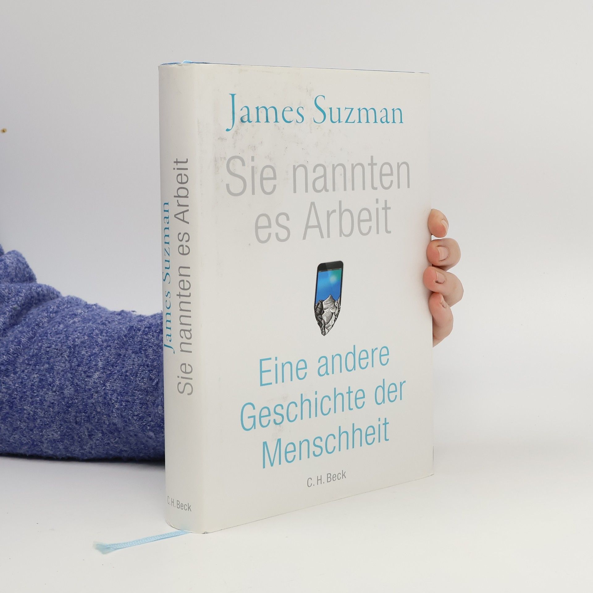 James Suzman Sie nannten es Arbeit