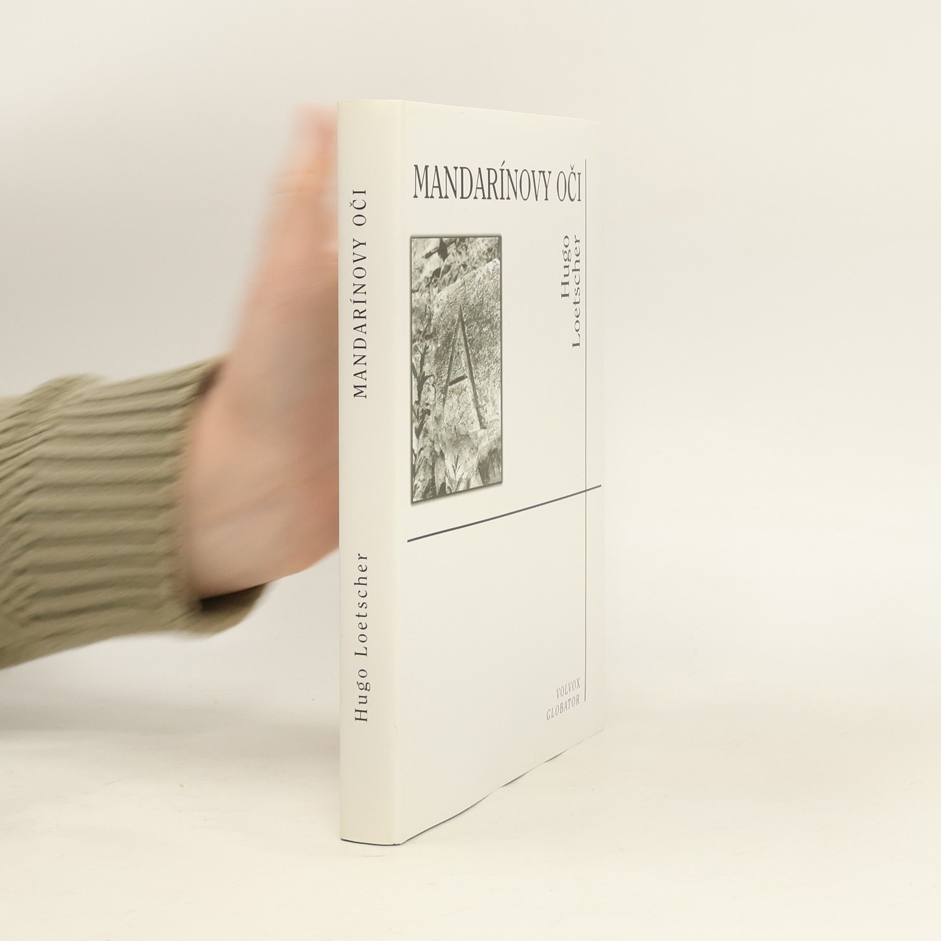 Hugo Loetscher Mandarínovy oči