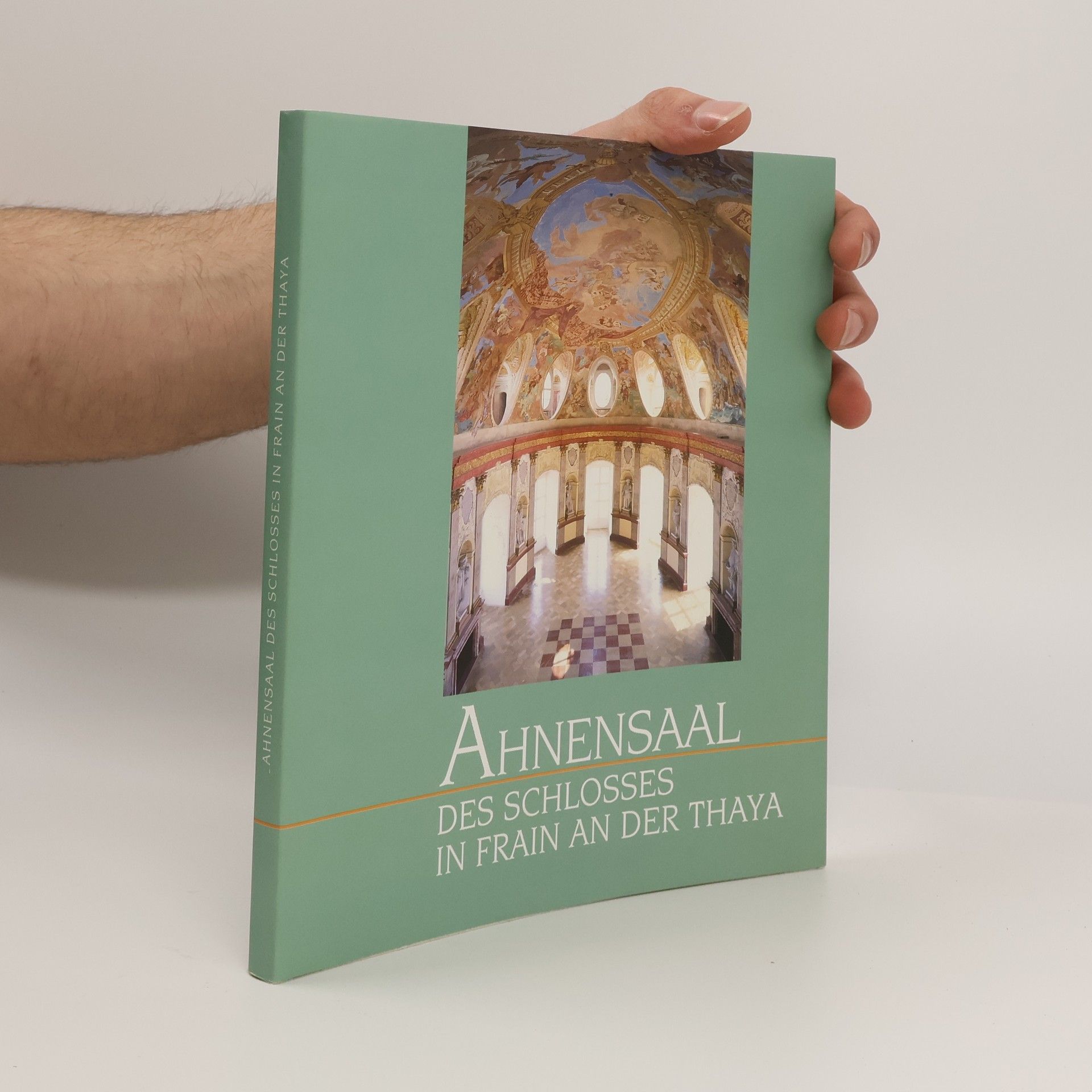 Ahnensaal des Schlosses in Frain an der Thaya