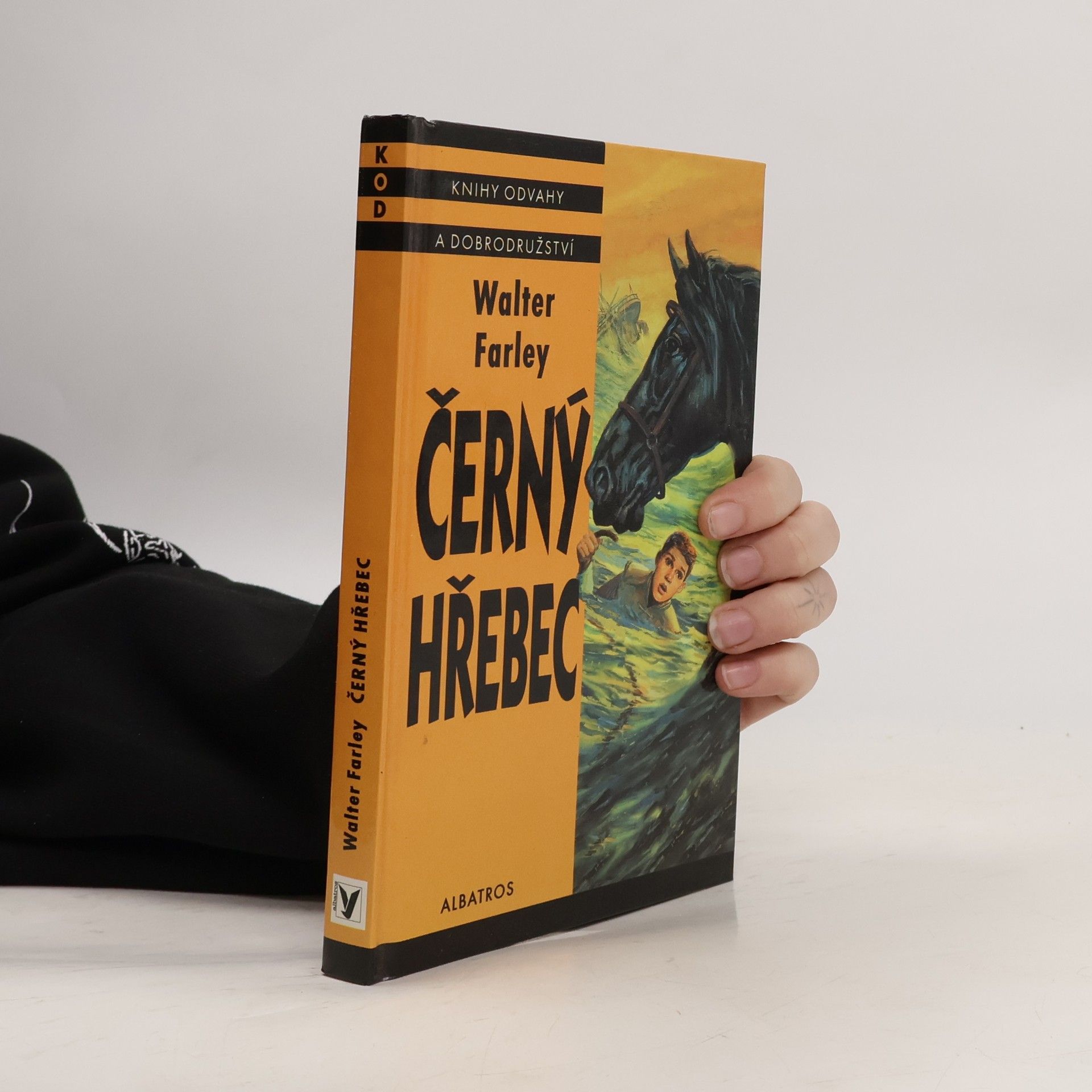 Walter Farley Černý hřebec