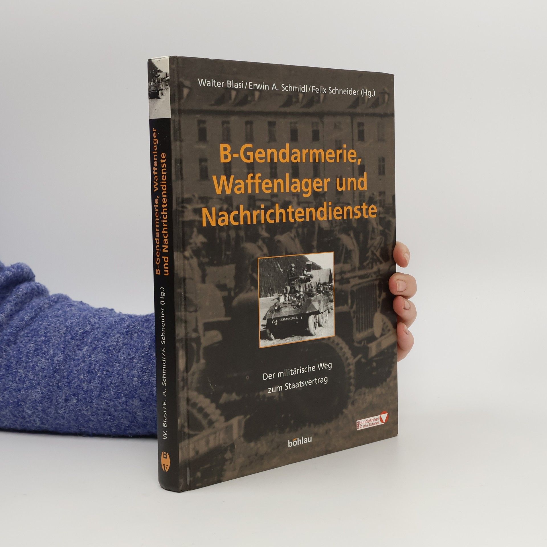 Walter Blasi B-Gendarmerie, Waffenlager und Nachrichtendienste