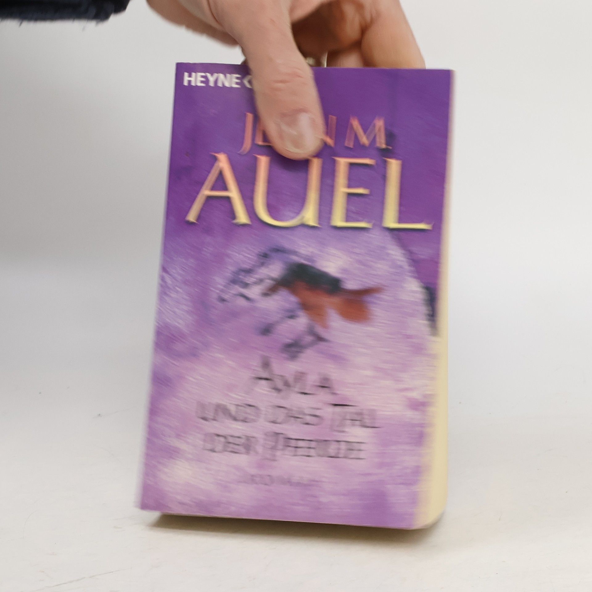 Jean M. Auelová Ayla und das Tal der Pferde