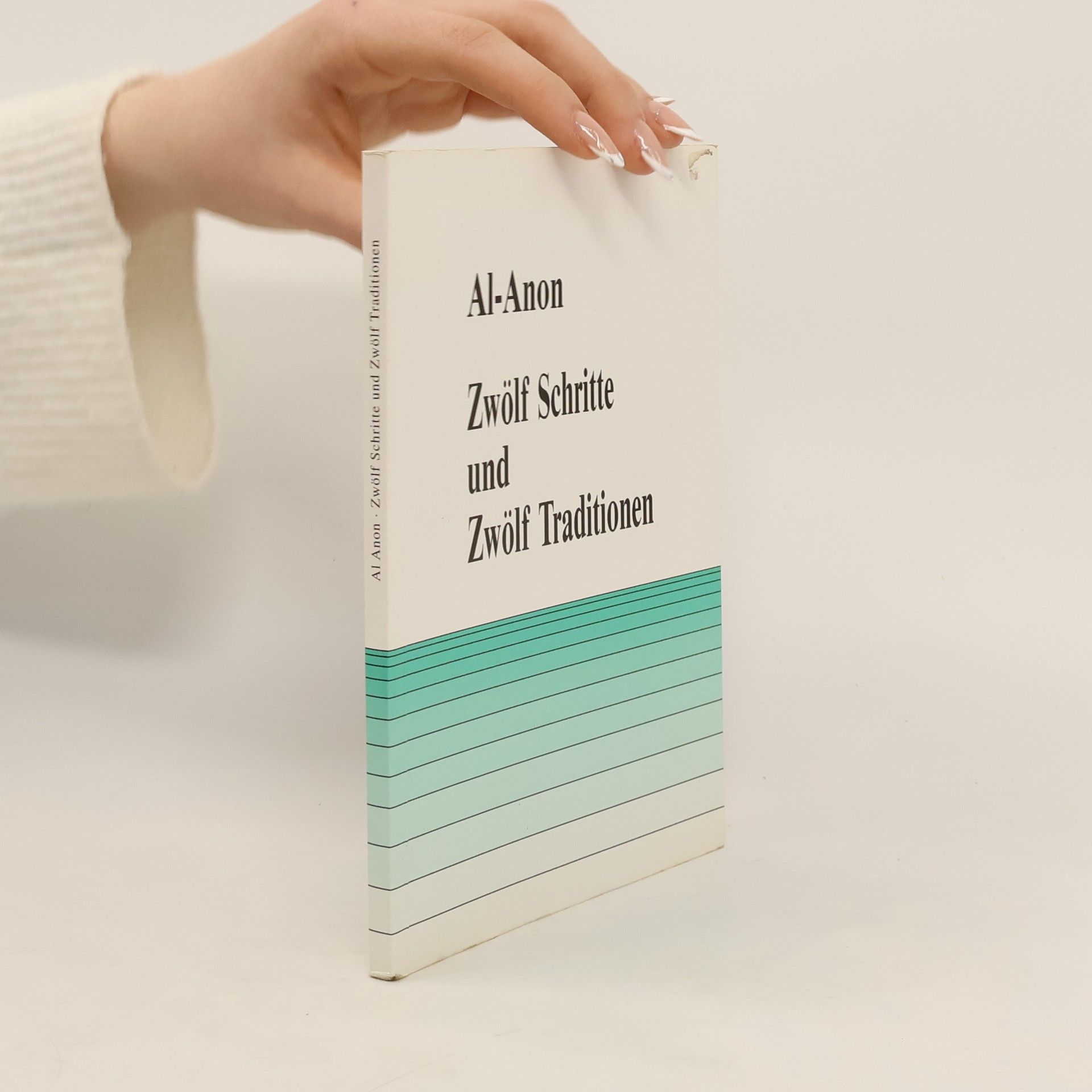 Autorenkollektiv Zwölf Schritte und zwölf Traditionen