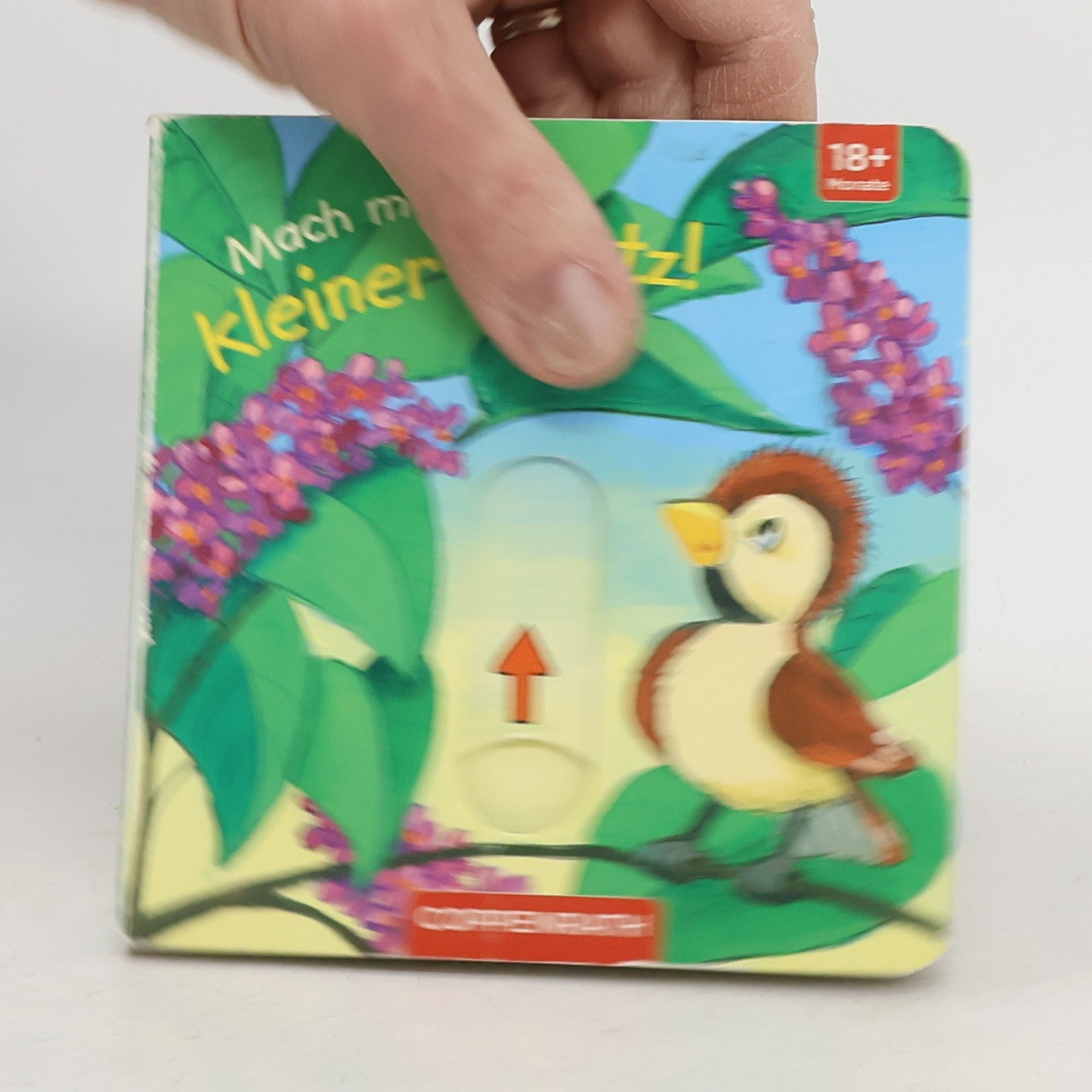 Anna Taube Mach mal Platz, kleiner Spatz!