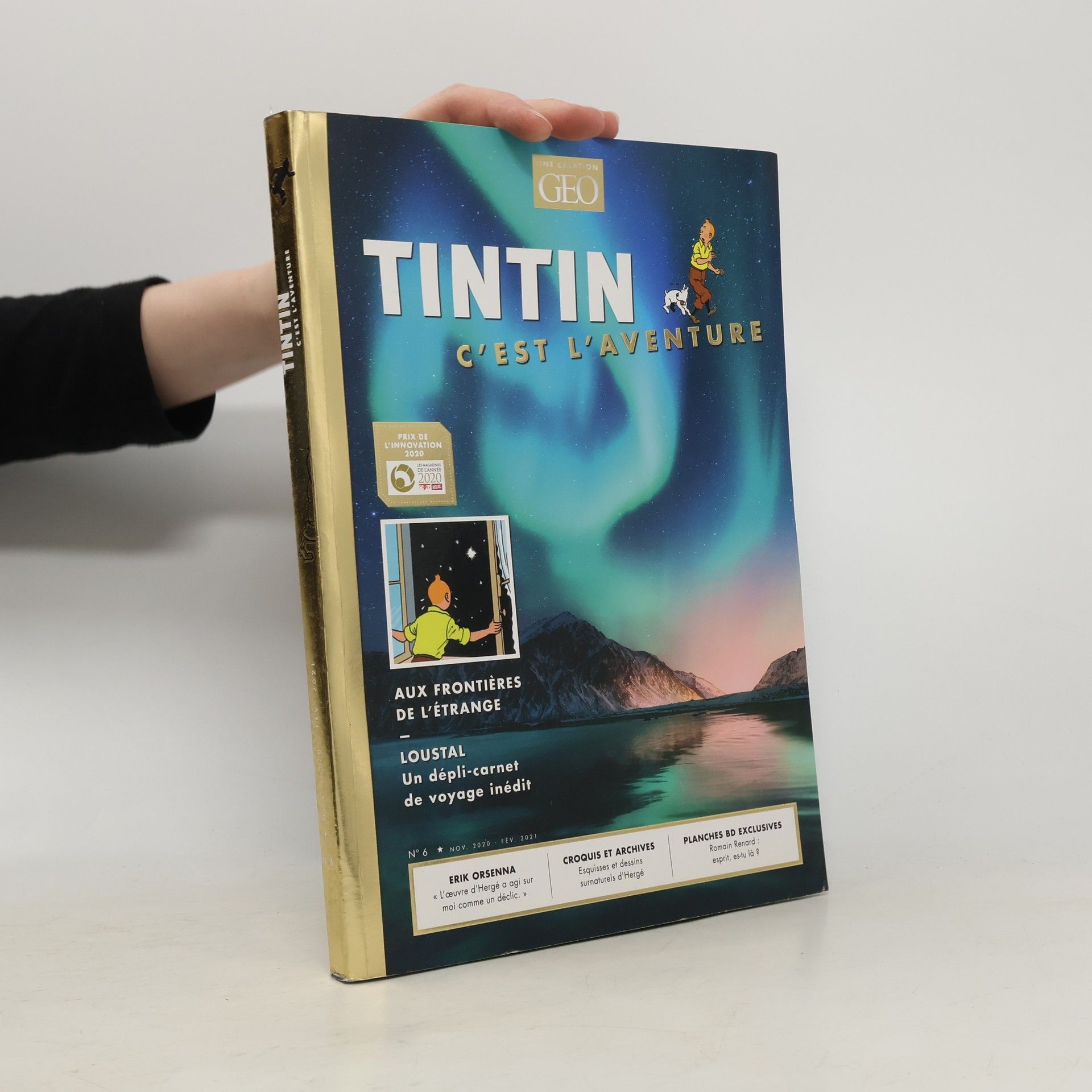 AA.VV. Tintin - C'est l'aventure 6: Aux frontières de l'étrange