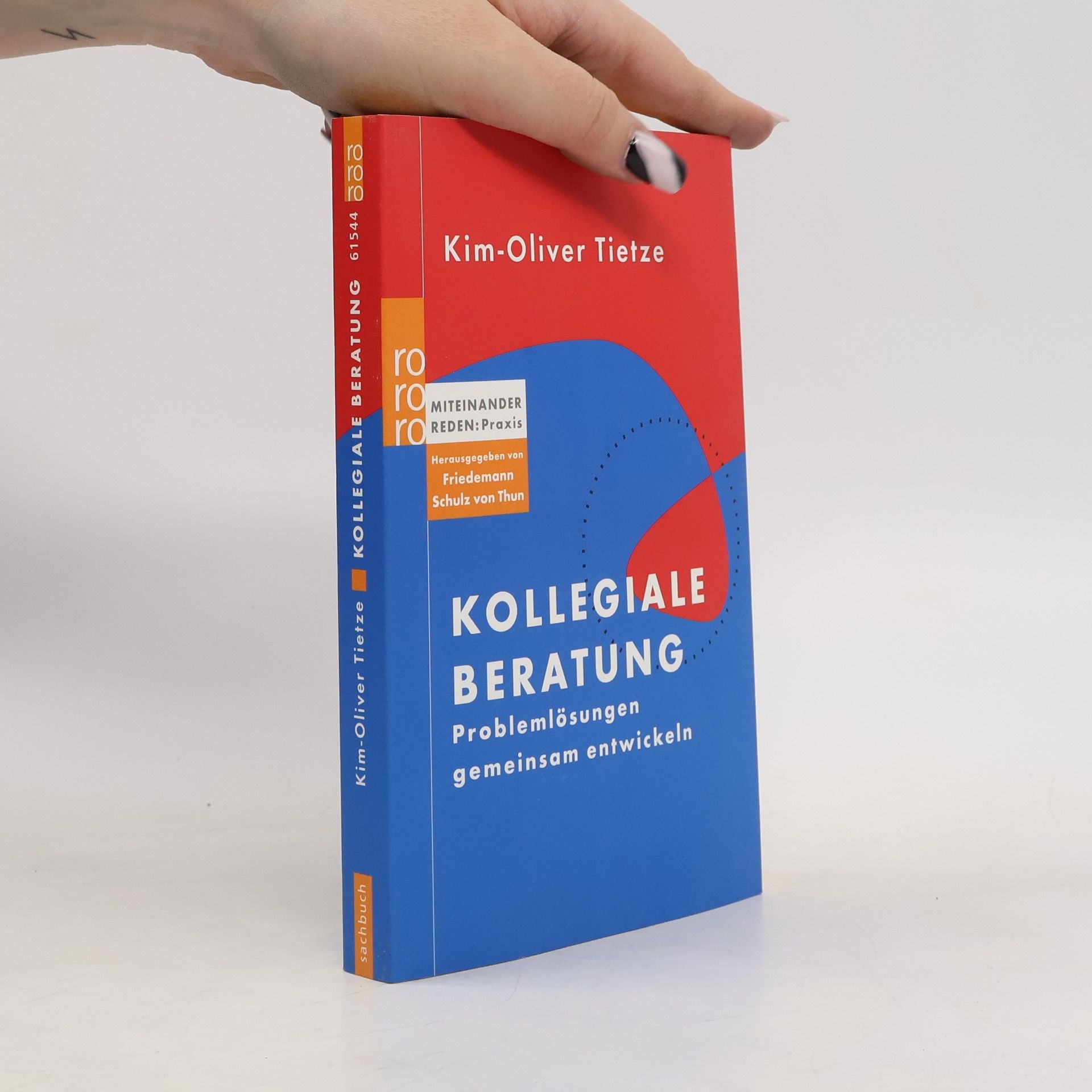 Oliver Tietze Kollegiale Beratung