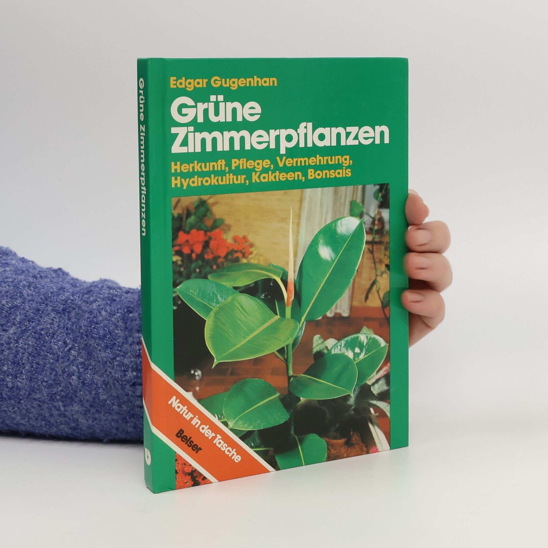 Edgar Gugenhan Grüne Zimmerpflanzen