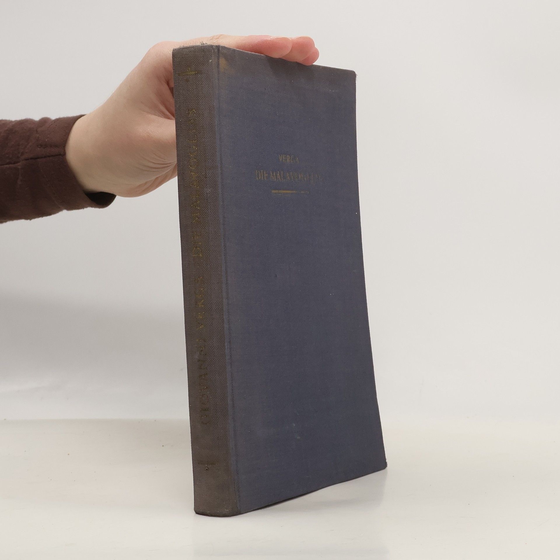 Giovanni Verga Die Malavoglias