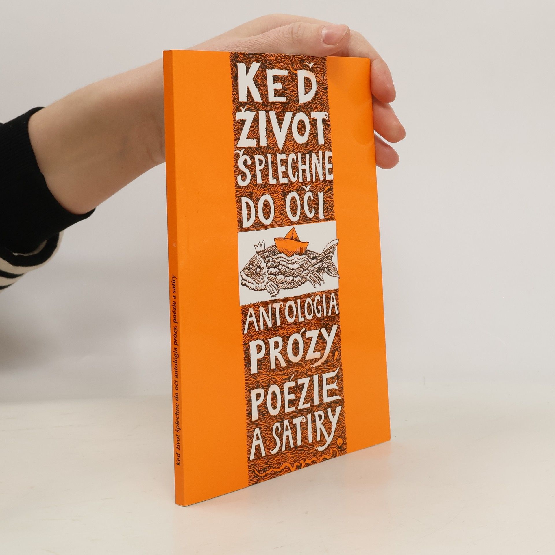 AA.VV. Keď život šplechne do očí