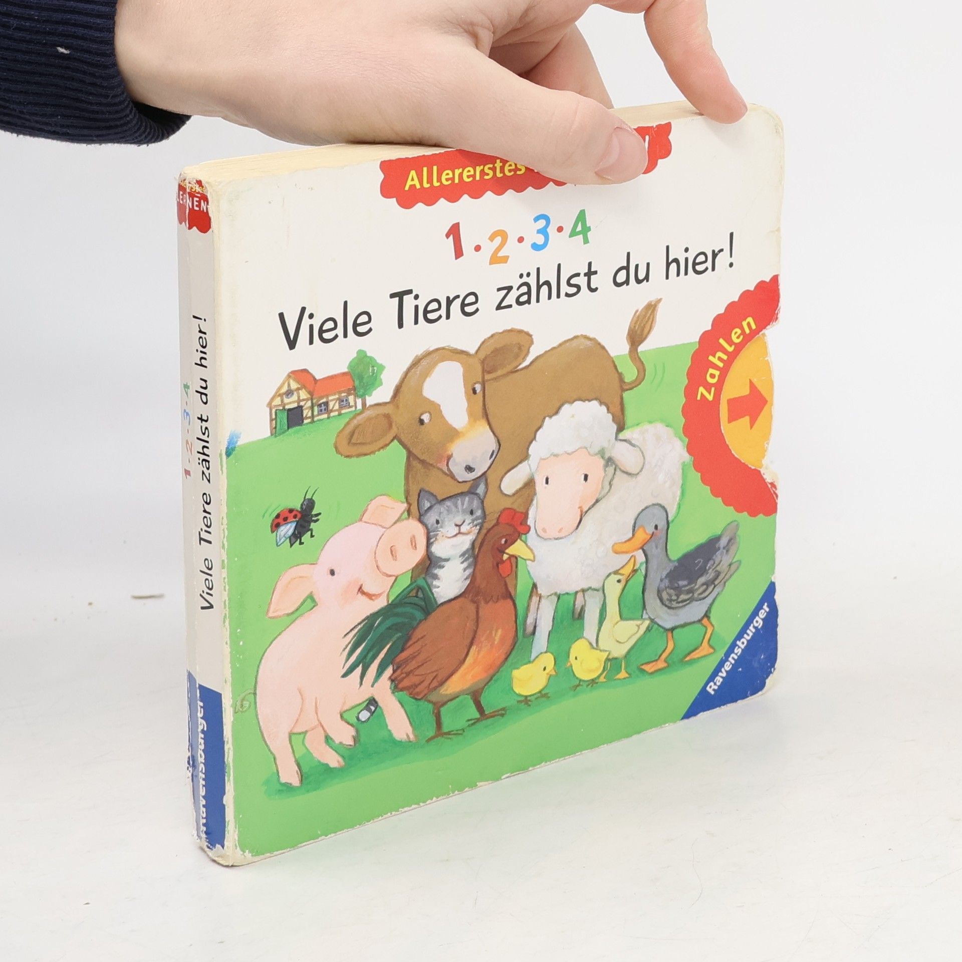 Martina Kohl 1, 2, 3, 4 - Viele Tiere zählst du hier!