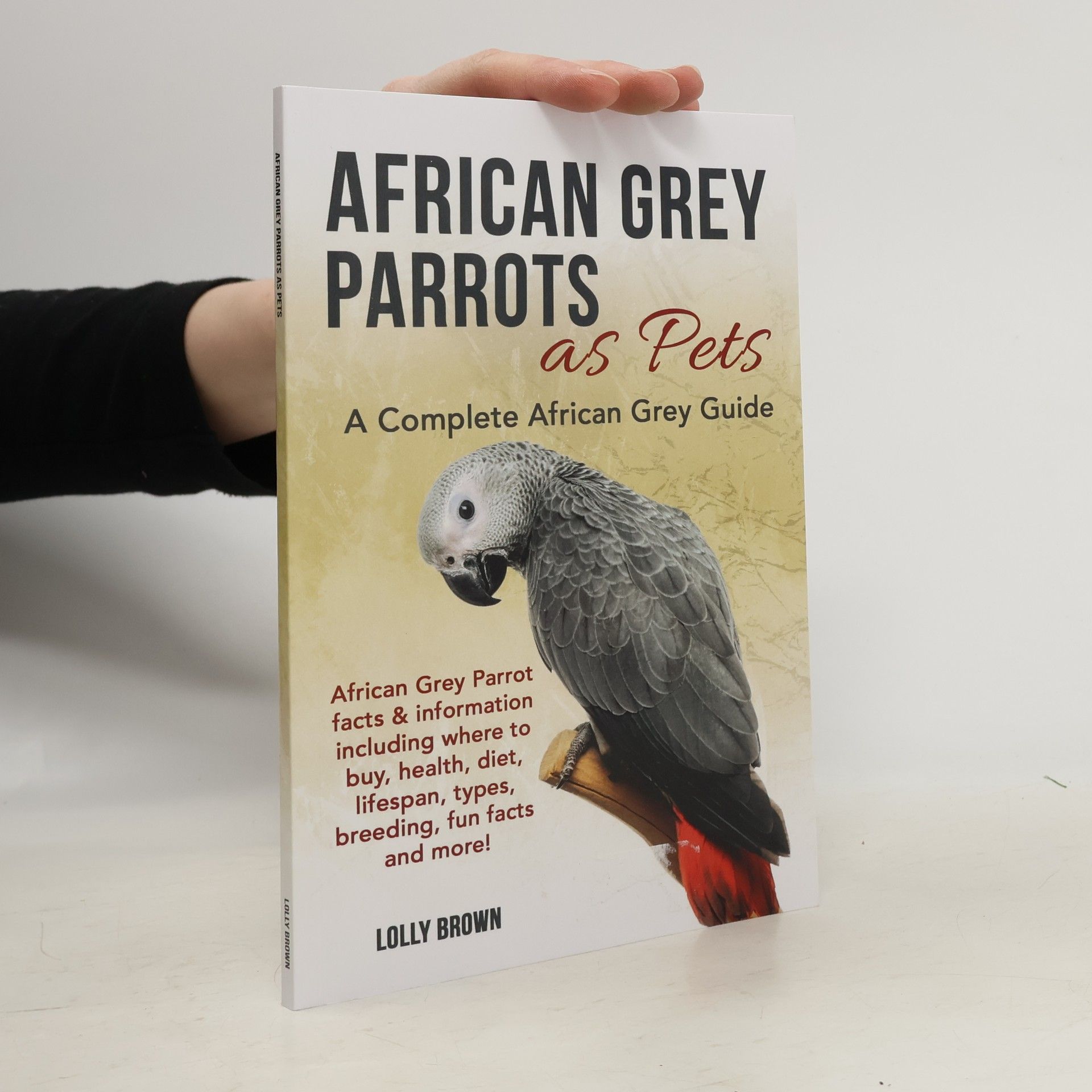Lolly Brown African Grey Parrots as Pets