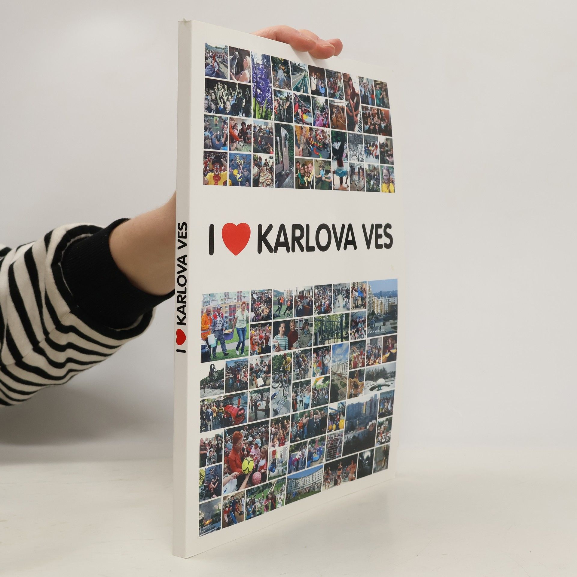 Autorenkollektiv I LOVE KARLOVA VES