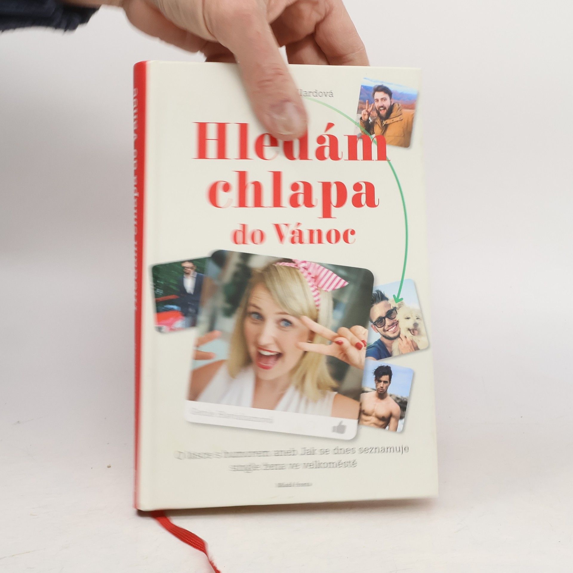 Jenny Stallard Hledám chlapa do Vánoc