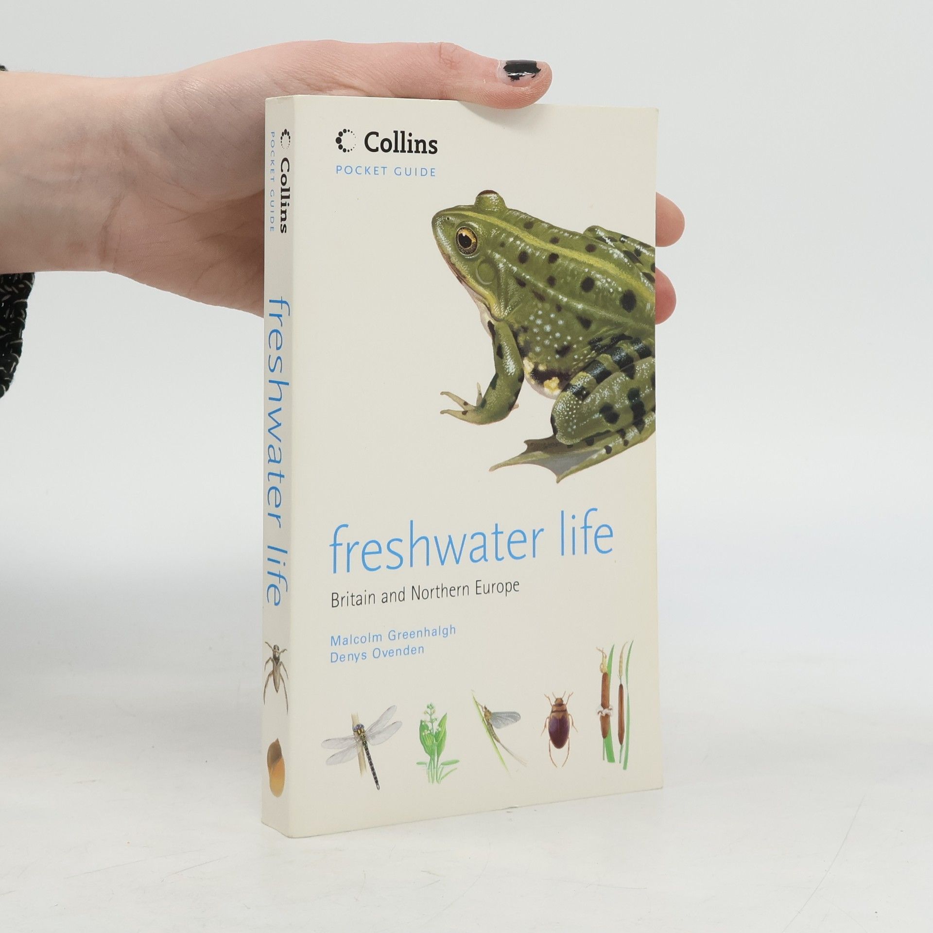 Collins Pocket Guide: Freshwater Life