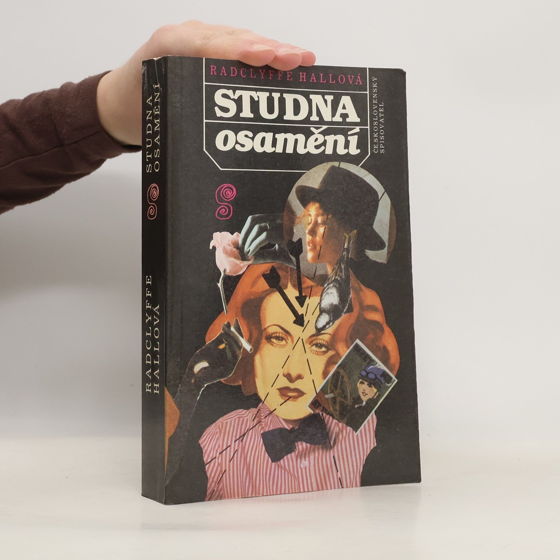 Radclyffe Hall Studna osamění