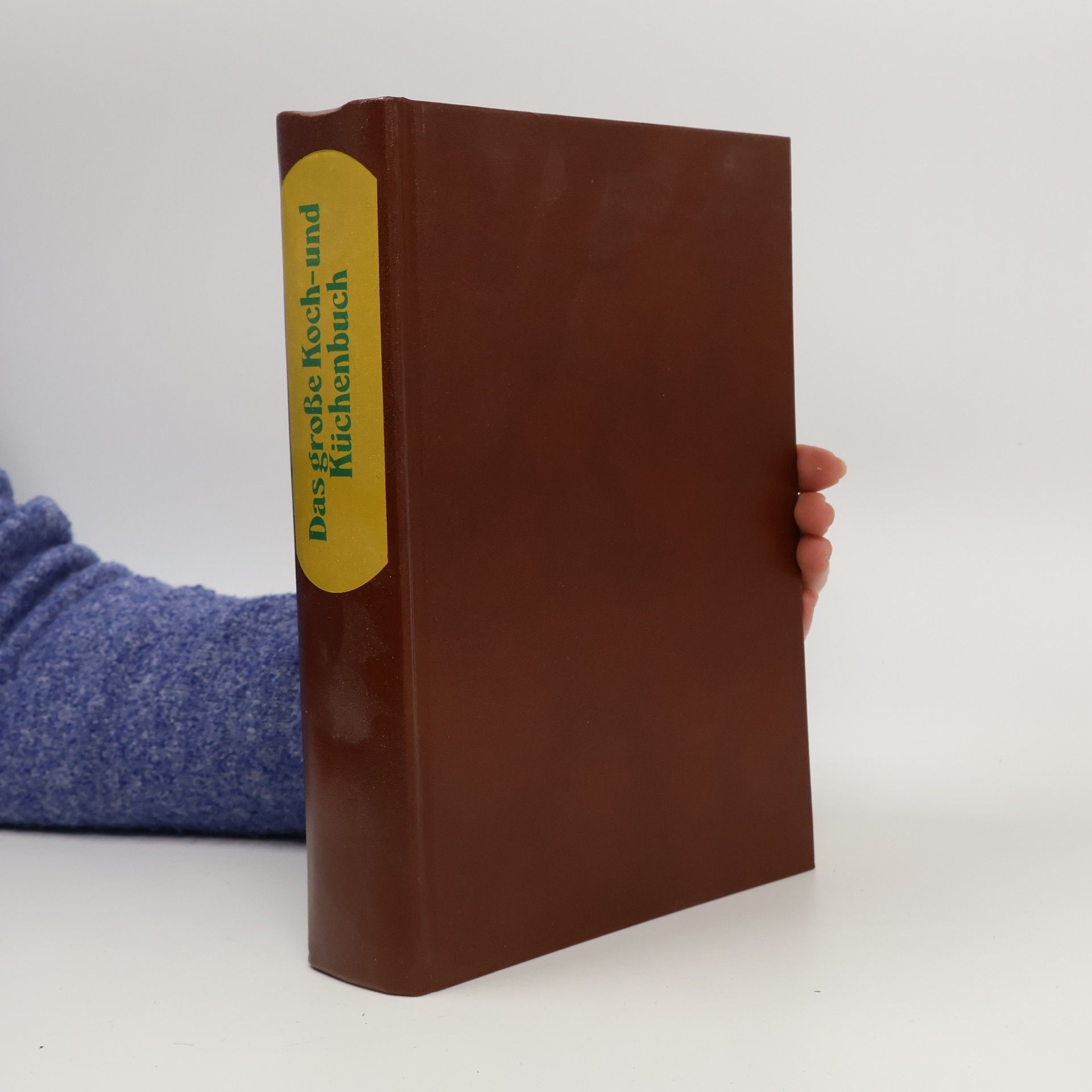 Das große Koch- und Küchenbuch