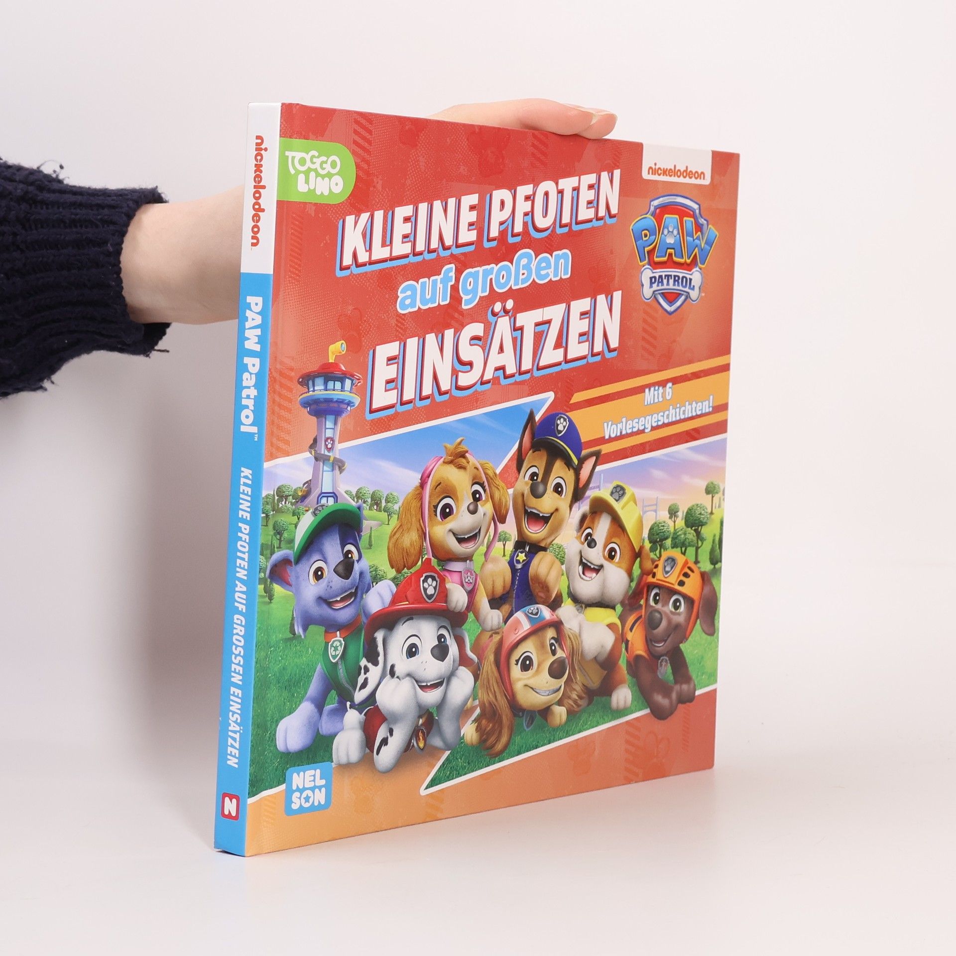 Autorenkollektiv PAW Patrol Geschichtenbuch: Kleine Pfoten auf großen Einsätzen