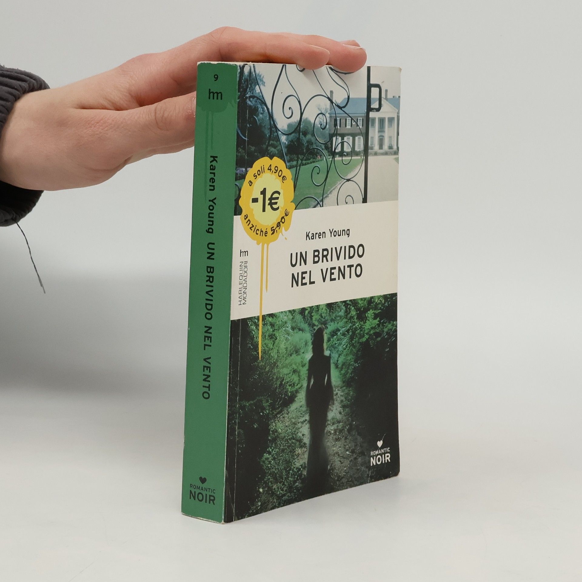 Karen Young Un brivido nel vento