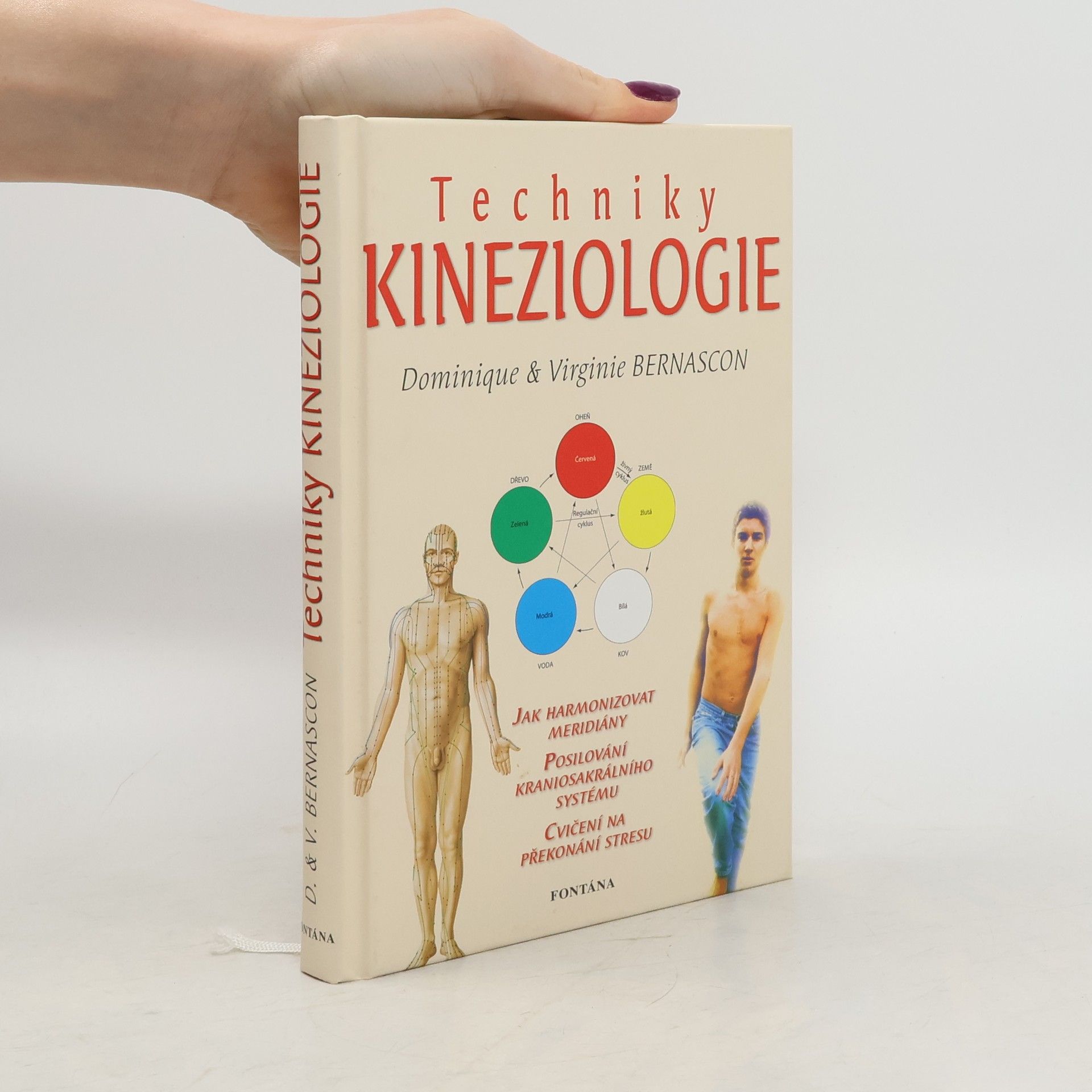 Dominique Bernascon Techniky kineziologie