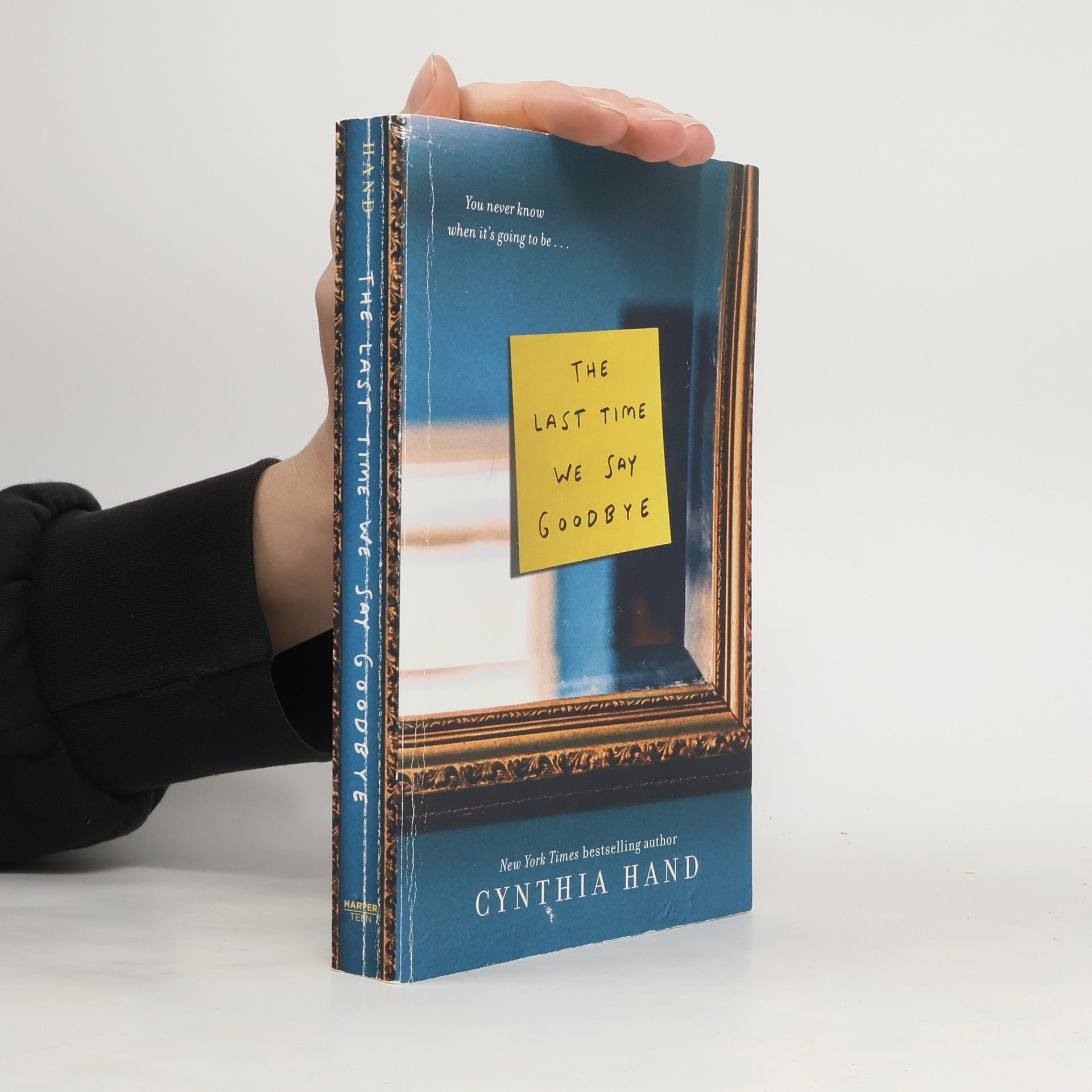 Cynthia Hand The Last Time We Say Goodbye