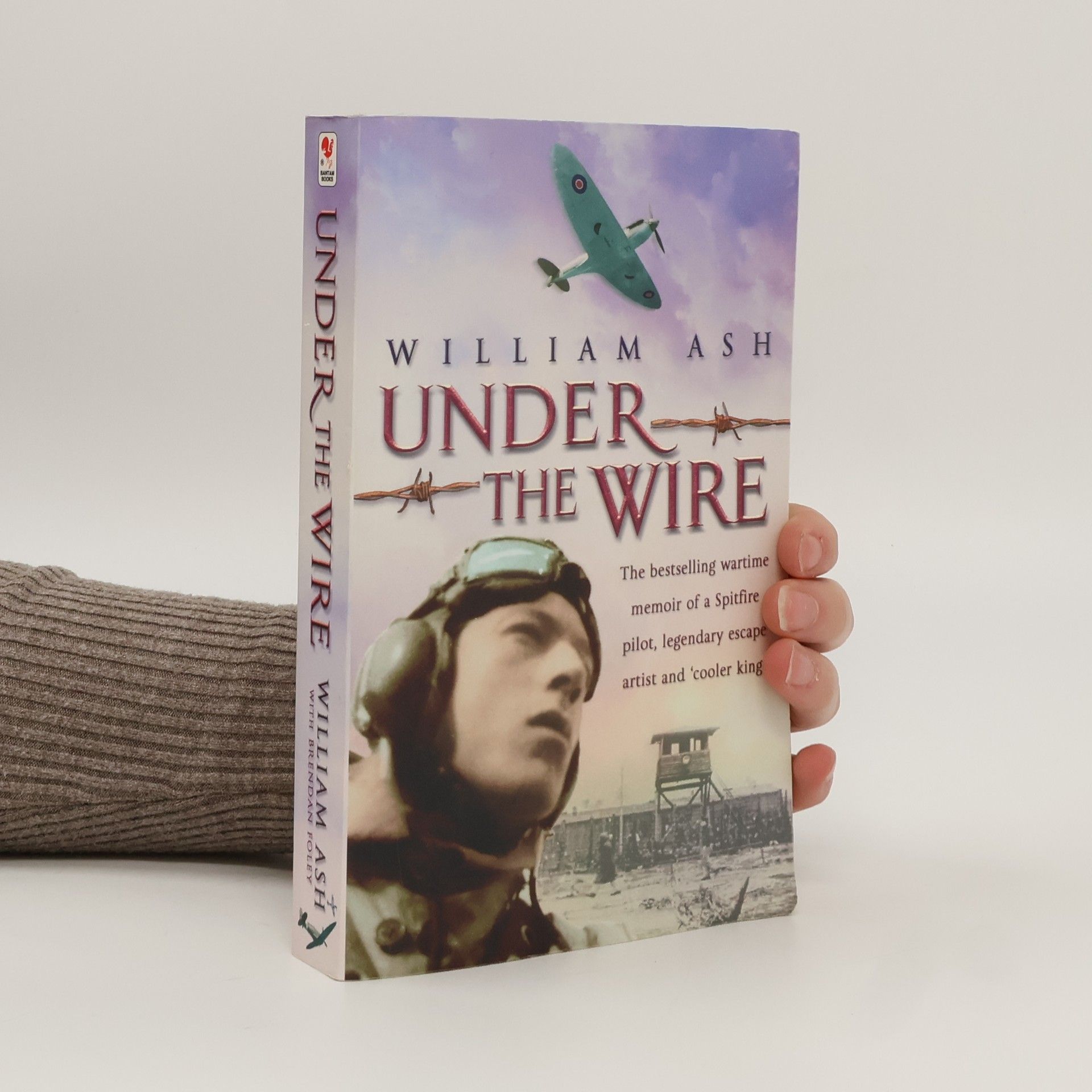 William Ash Under the Wire