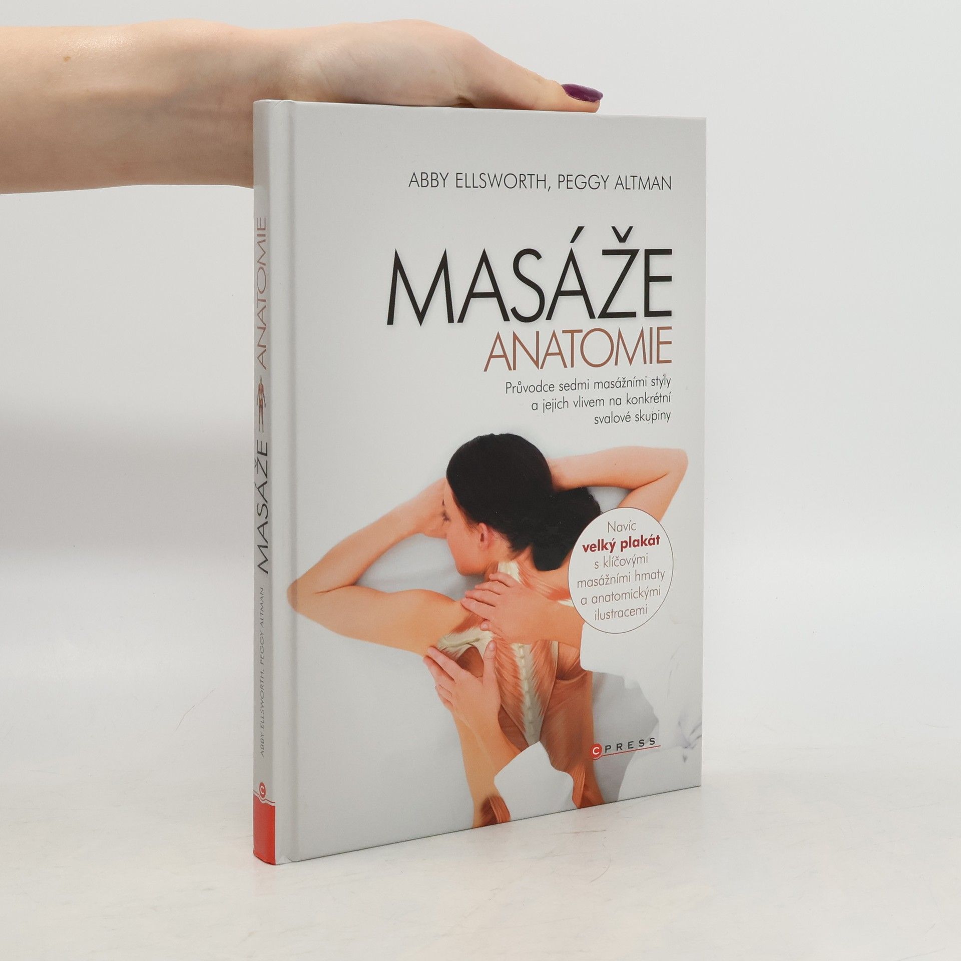 Masáže - Anatomie. Průvodce sedmi masážními styly a jejich vlivem na konkrétní svalové skupiny