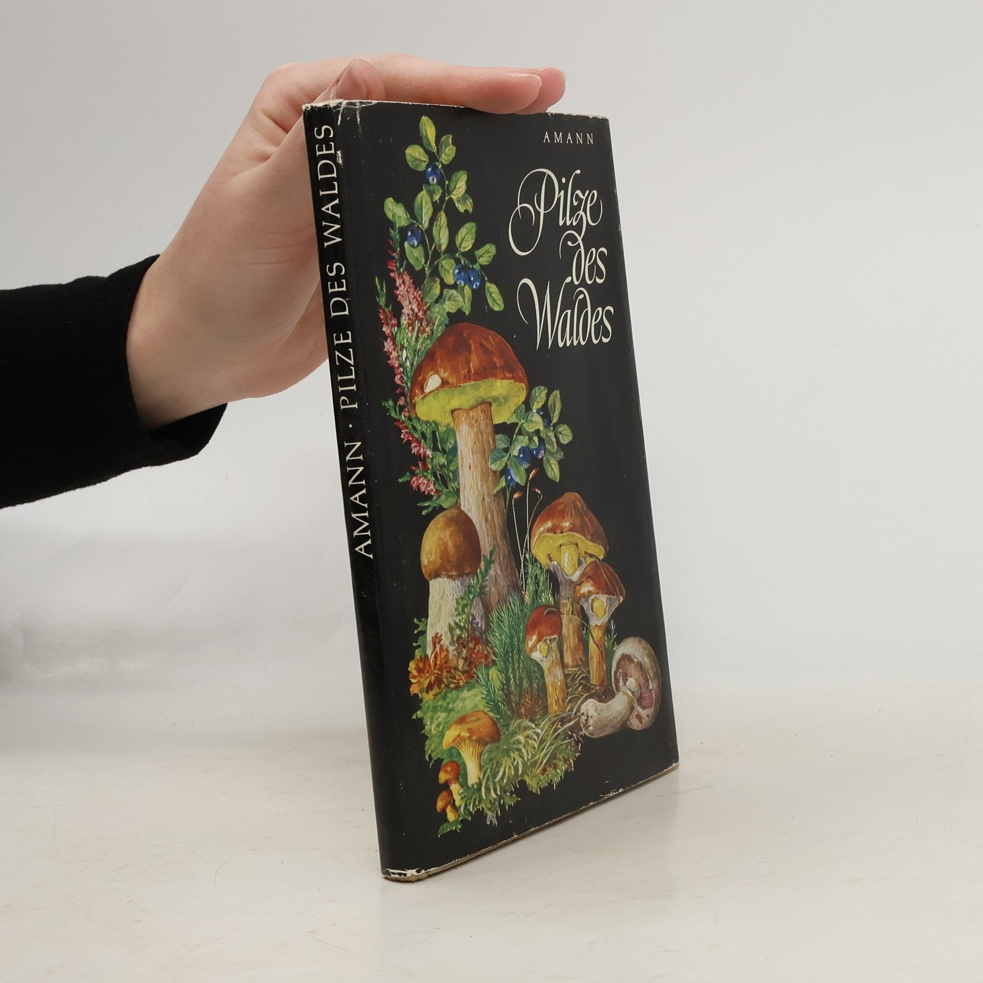 Gottfried Amann Pilze des Waldes