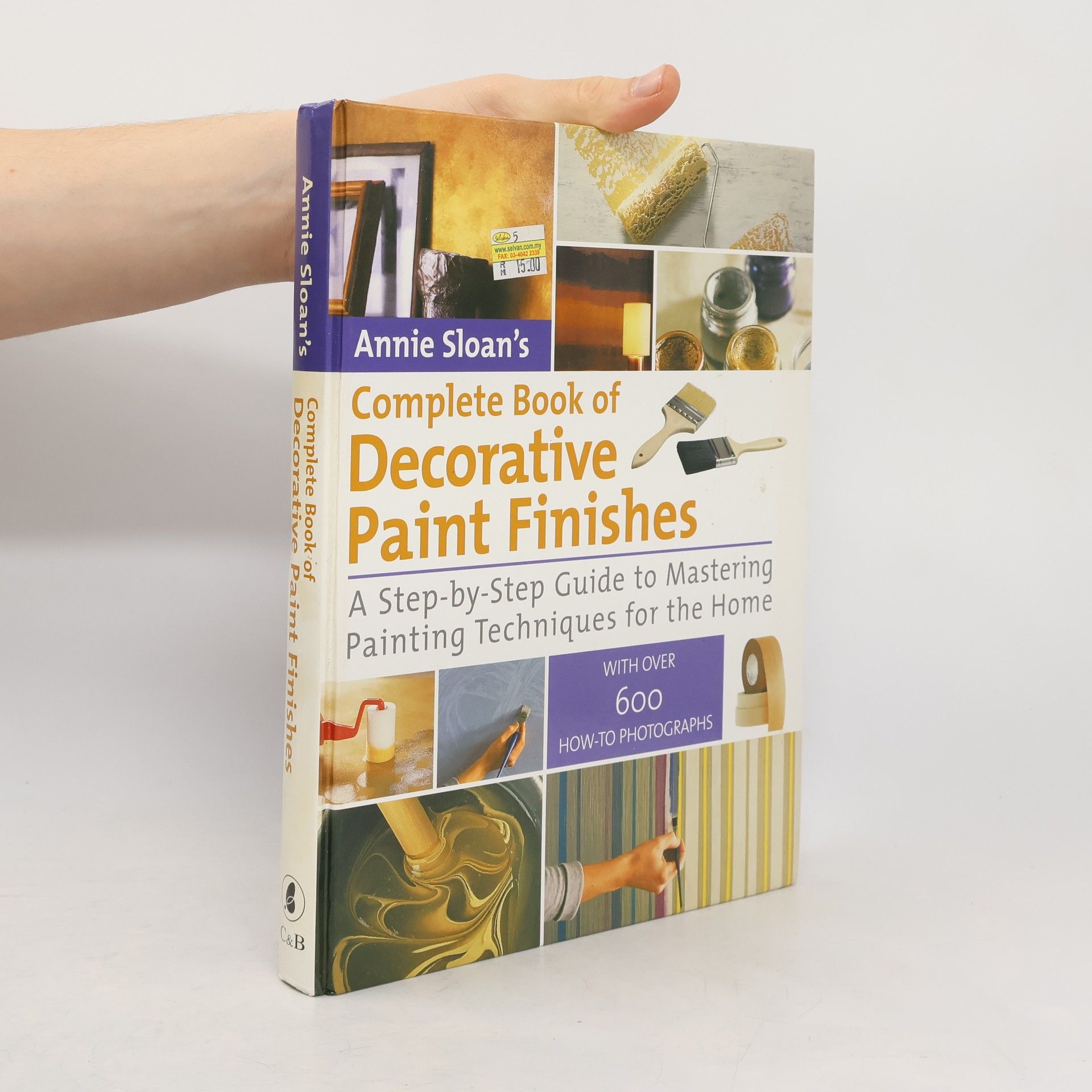 Annie Sloan Annie Sloan's Complete Book of Decorative Paint Finishes