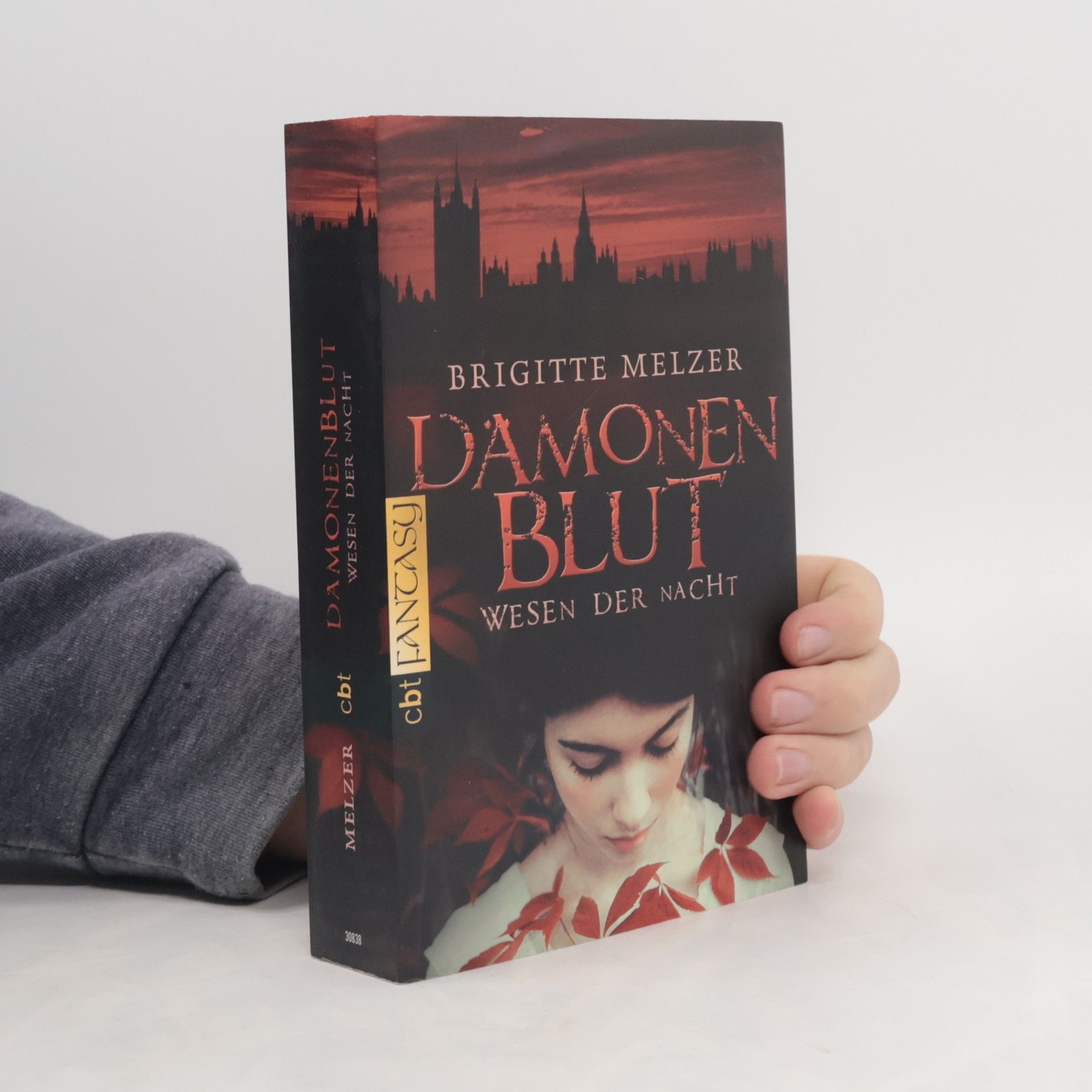 Brigitte Melzer Wesen der Nacht - Dämonenblut