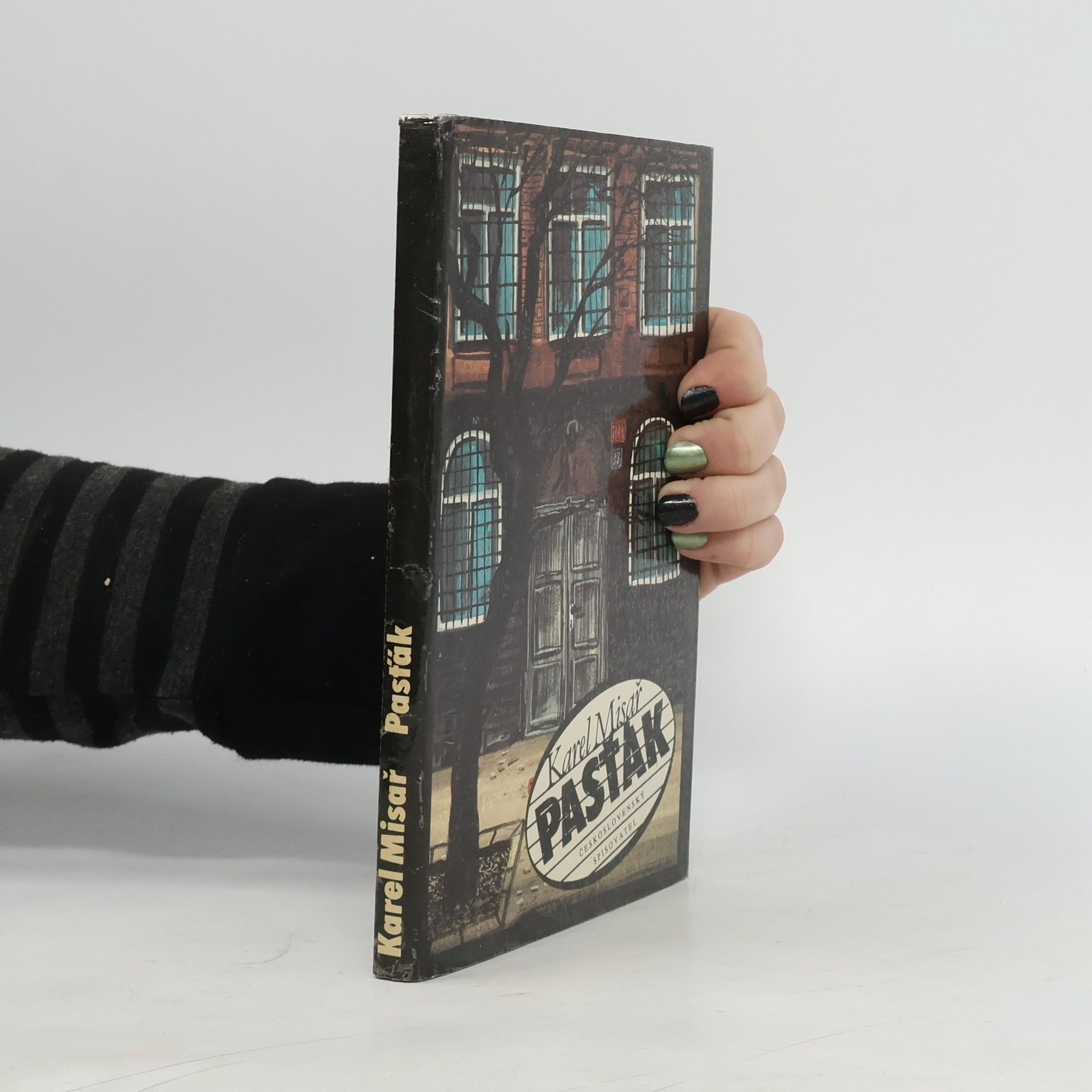 Karel Misař Pasťák