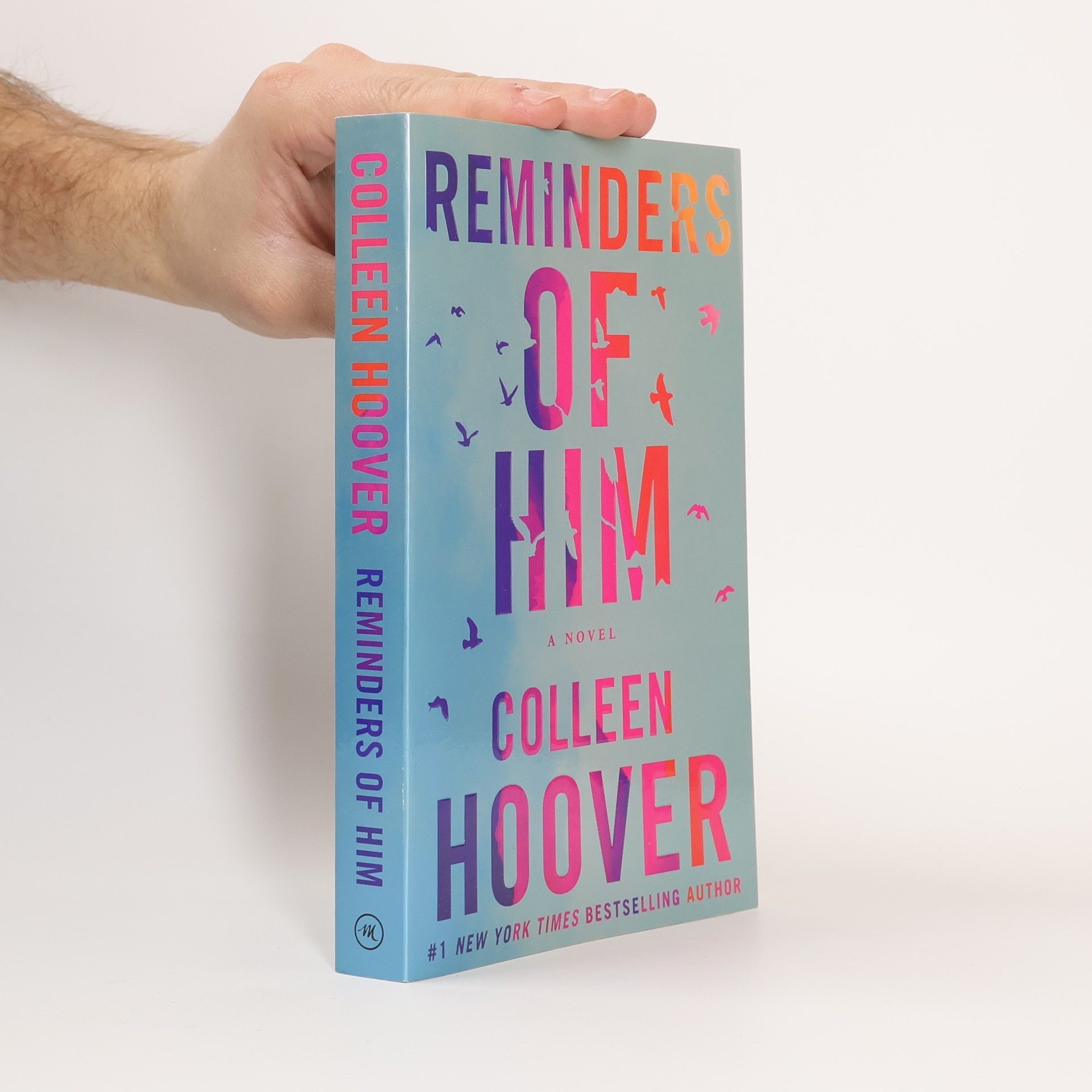 Colleen Hoover Reminders of him