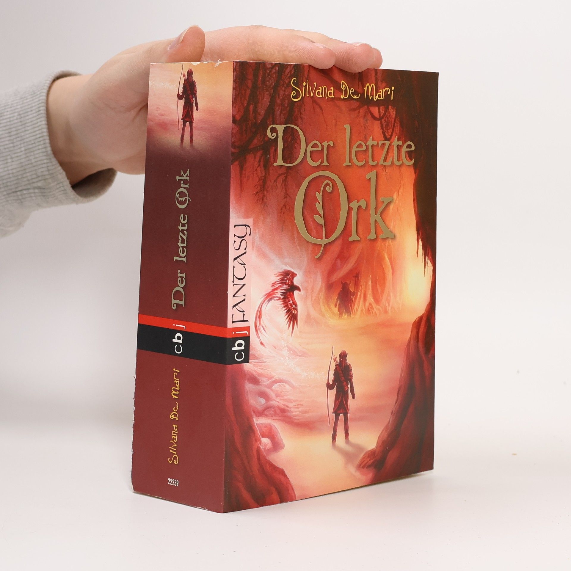 Silvana De Mari Der letzte Ork