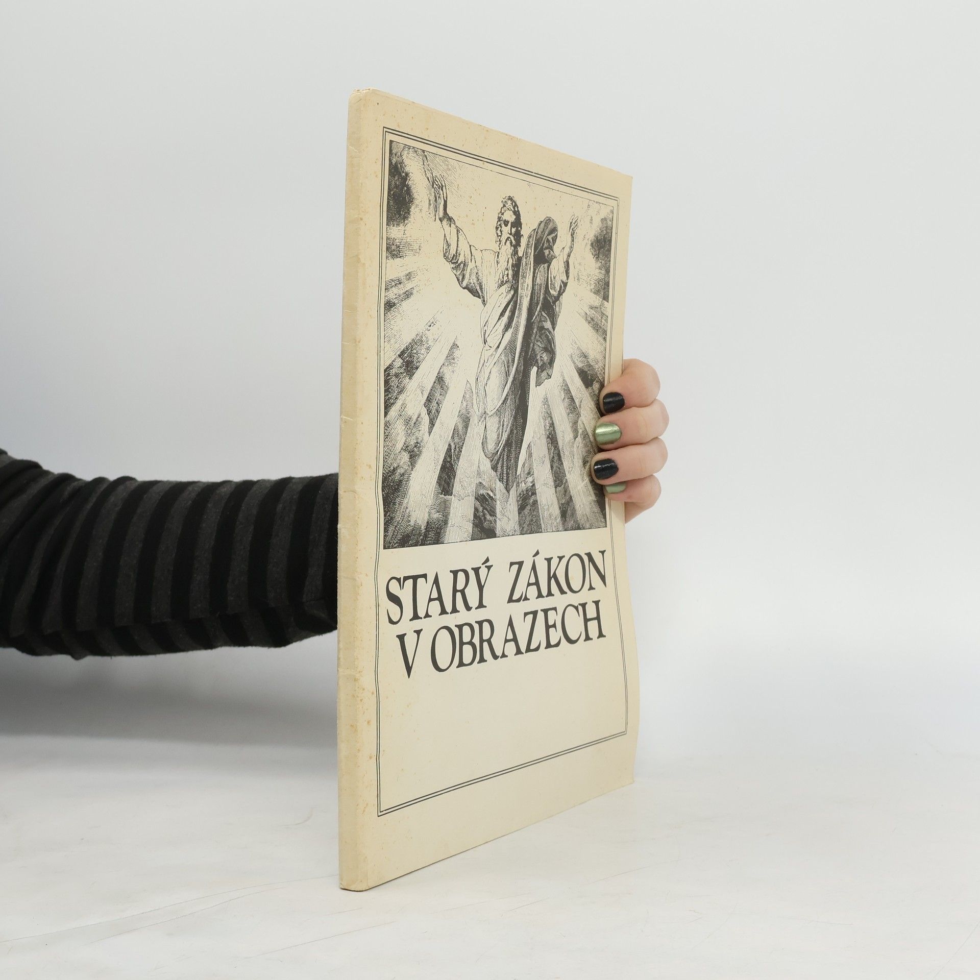 AA.VV. Starý zákon v obrazech