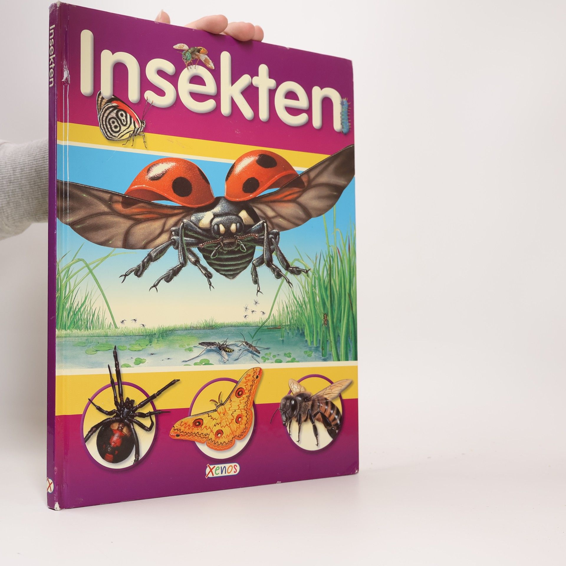 Insekten