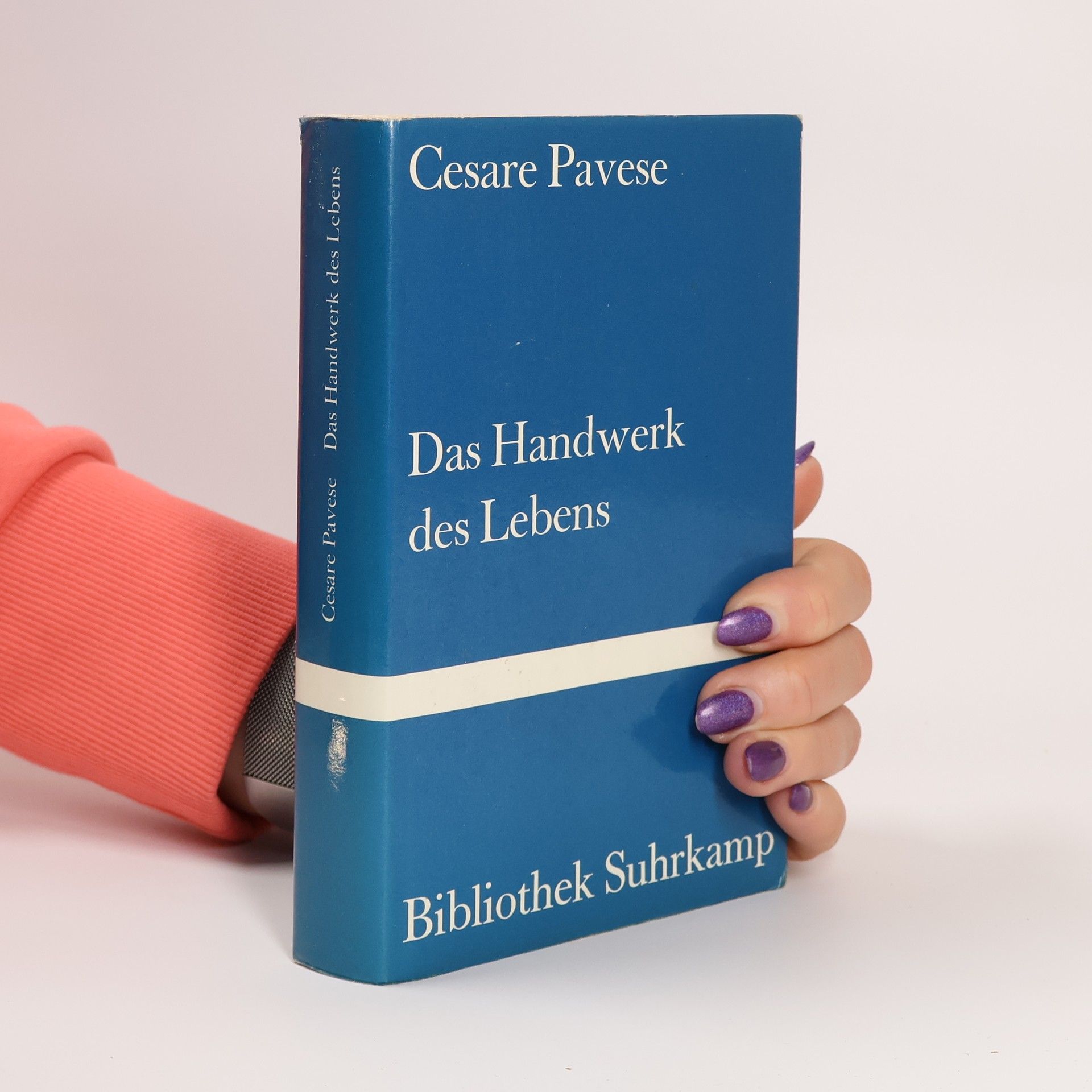 Cesare Pavese Das Handwerk des Lebens