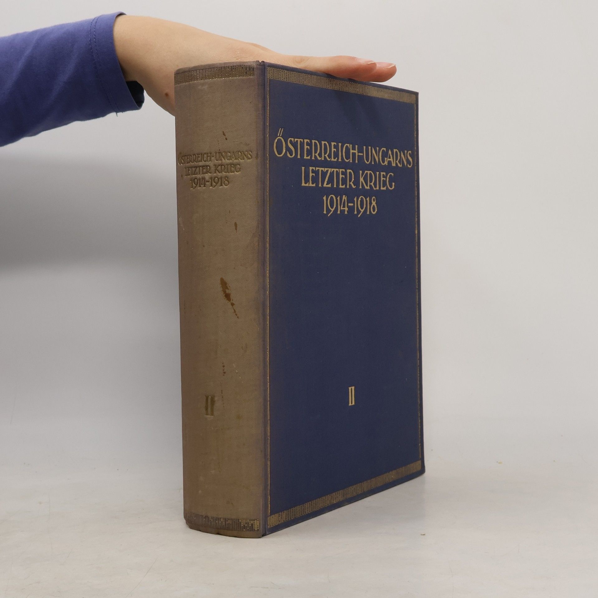 Österreich-Ungarns letzter Krieg 1914–1918 II