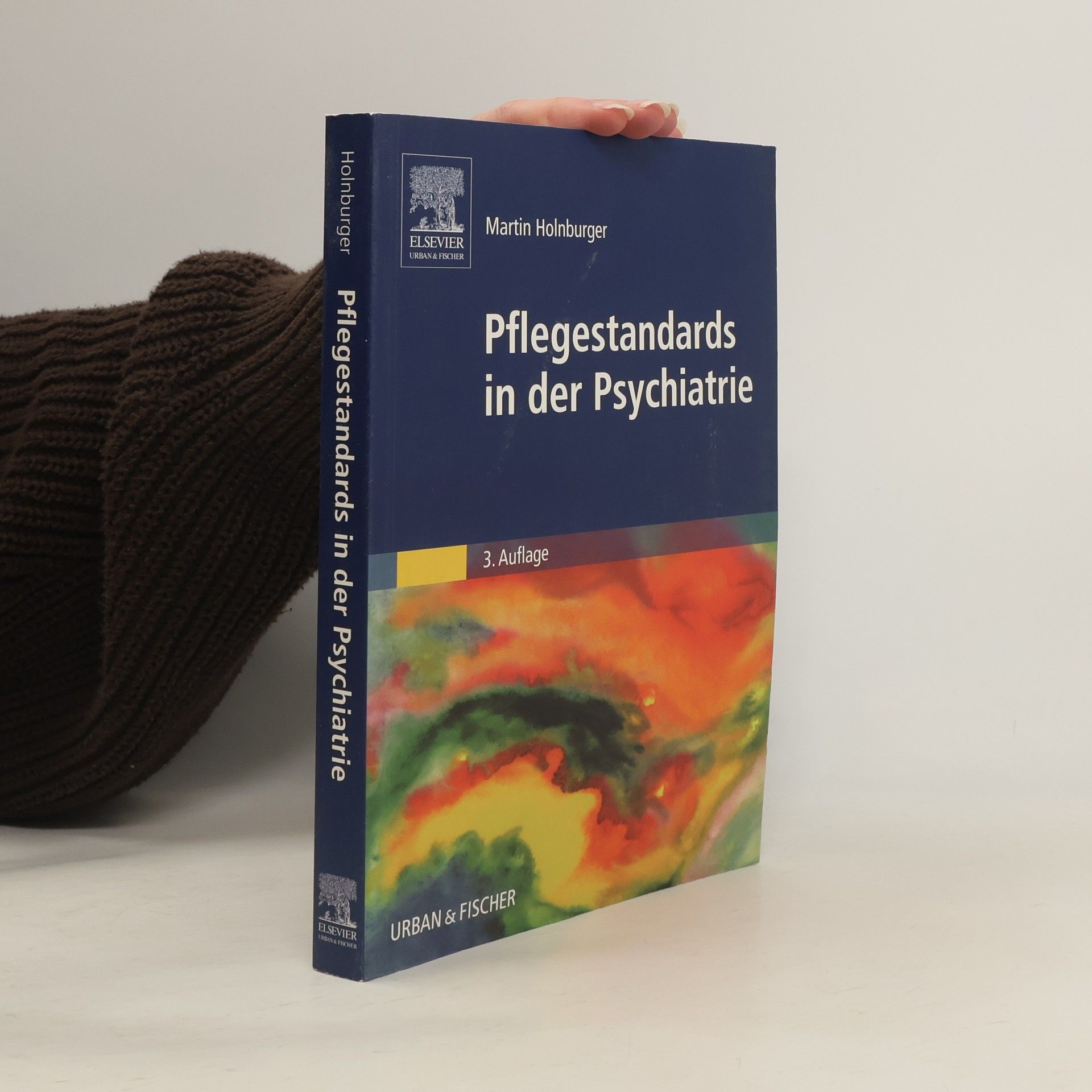 Martin Holnburger Pflegestandards in der Psychiatrie: 3. Auflage