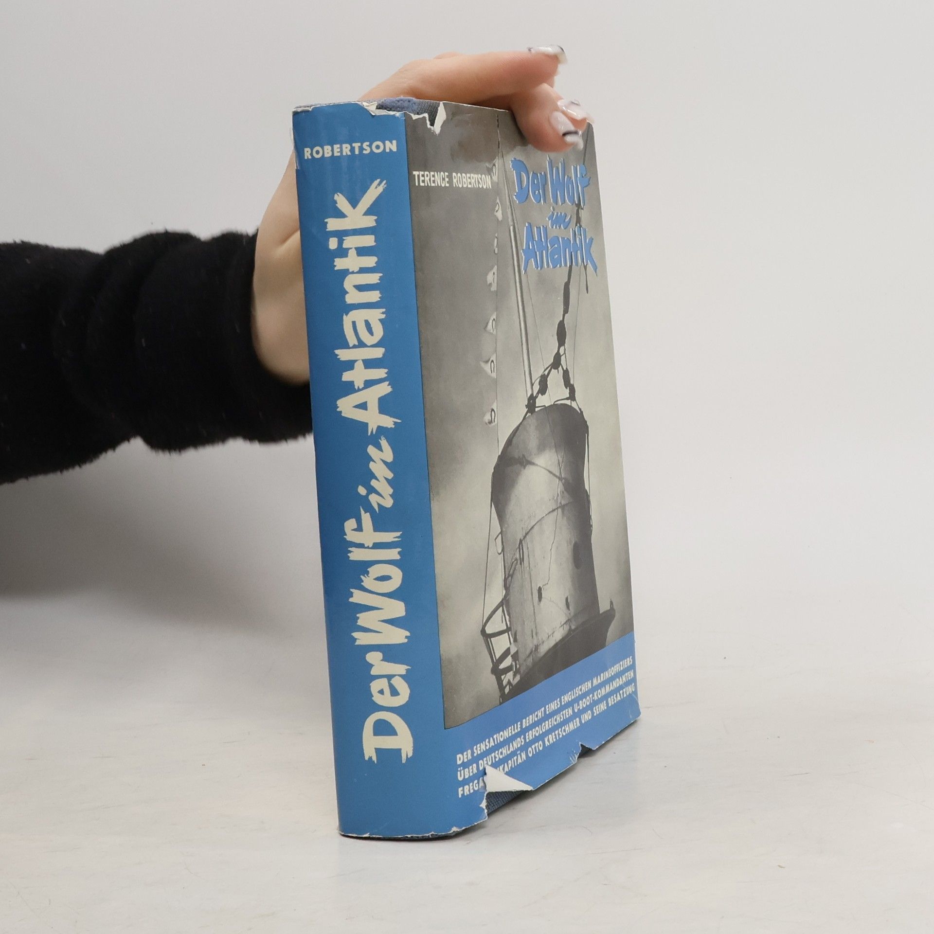 Der Wolf im Atlantik