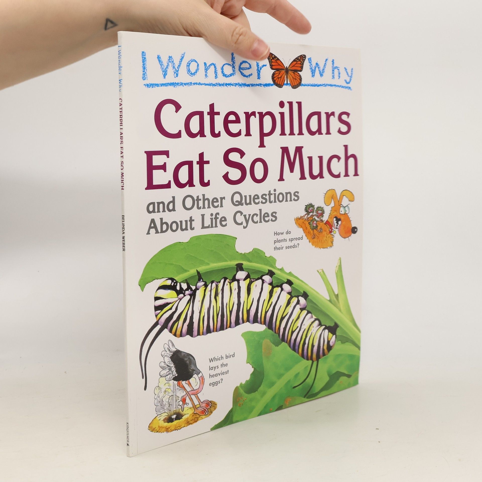 Belinda Weber I Wonder Why Caterpillars Eat So Much and Other Questions About Life Cycles