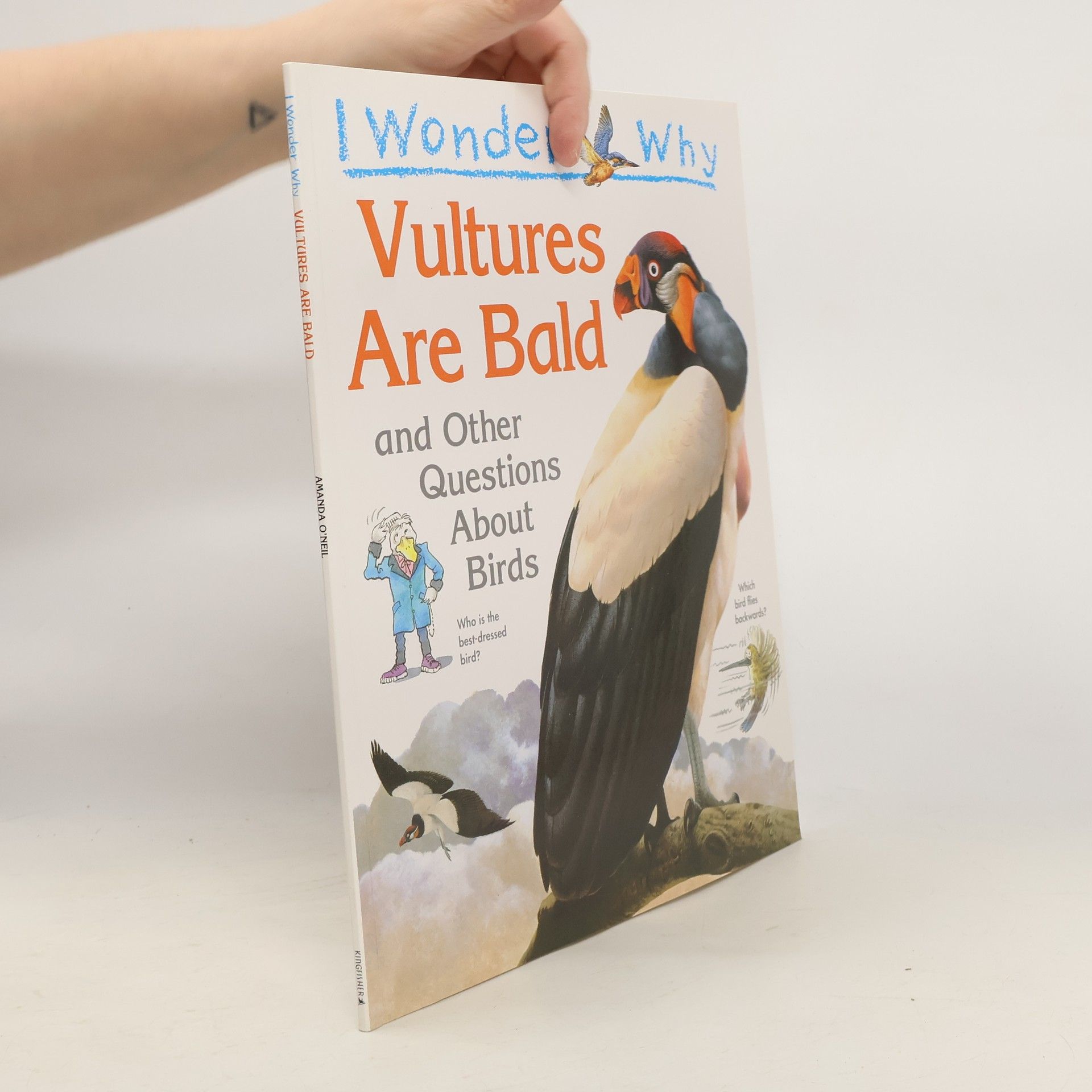 I Wonder Why Vultures Are Bald and Other Questions About Birds