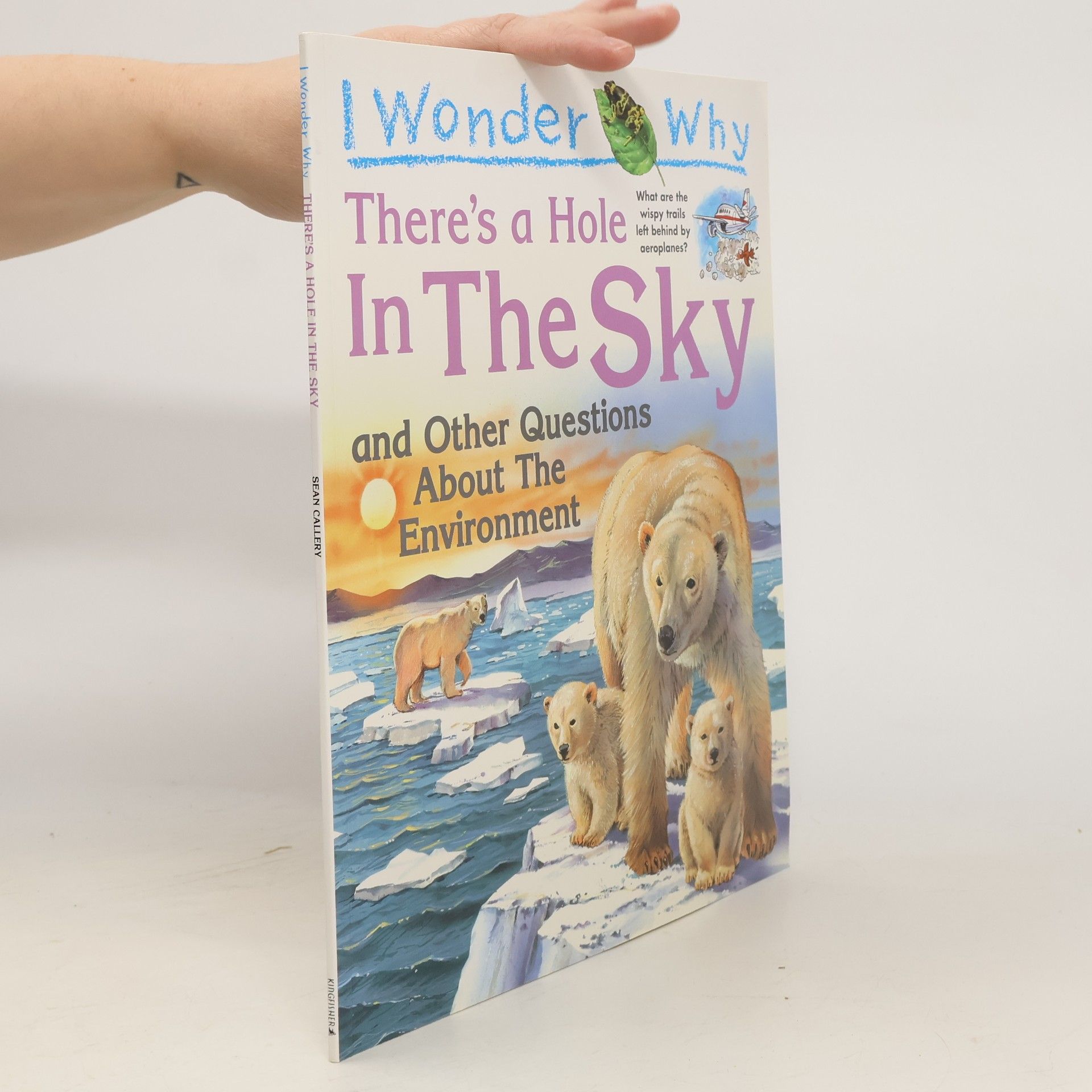 Sean Callery I Wonder Why