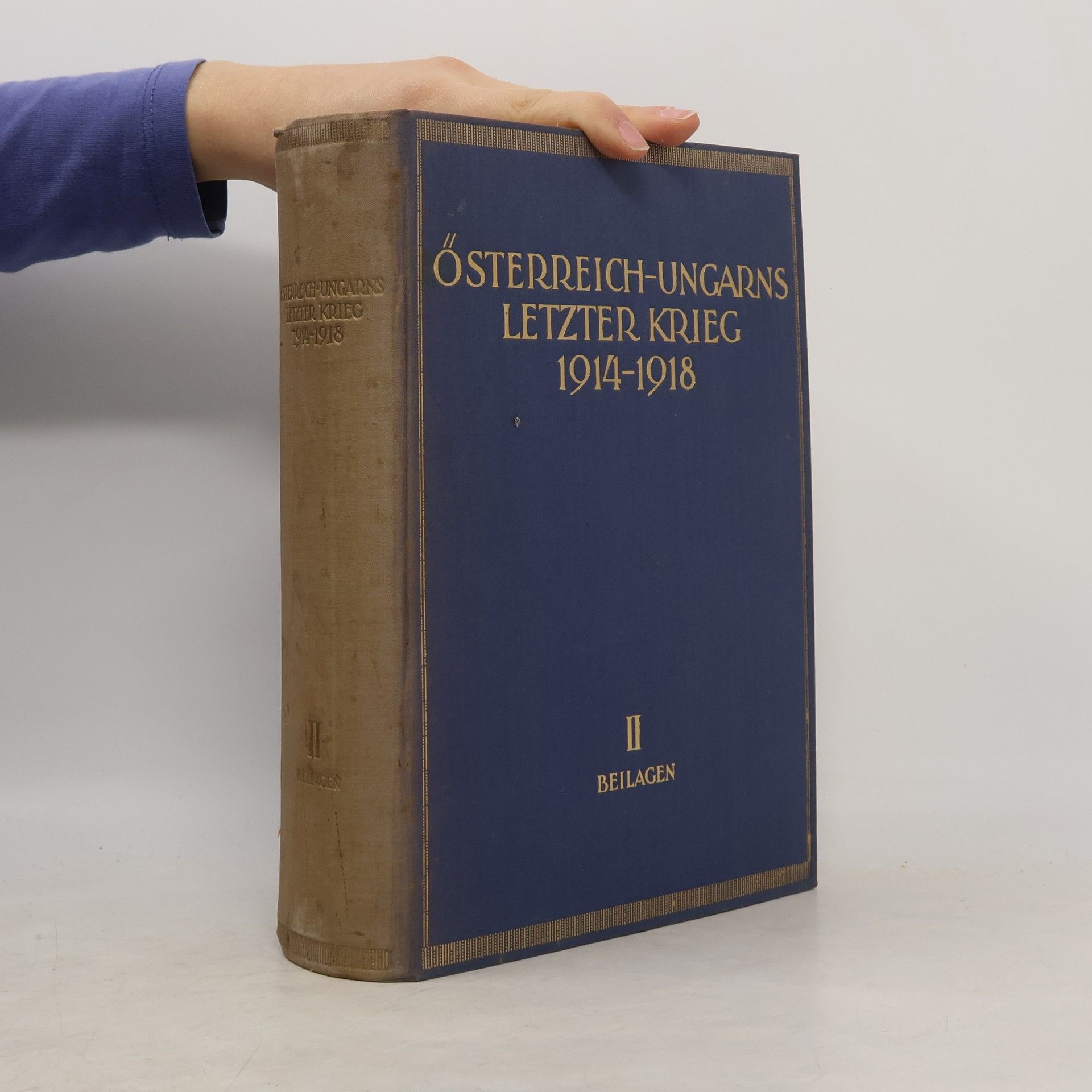 Edmund Glaise-Horstenau Österreich-Ungarns letzter Krieg 1914–1918 II